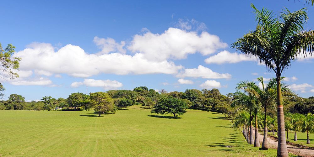 0 bed Land For Sale in Hermosa, Guanacaste - thumb 3