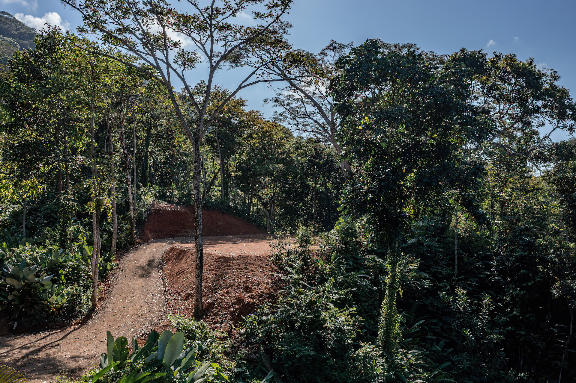 0 bed Land For Sale in Savegre, Puntarenas - thumb 5