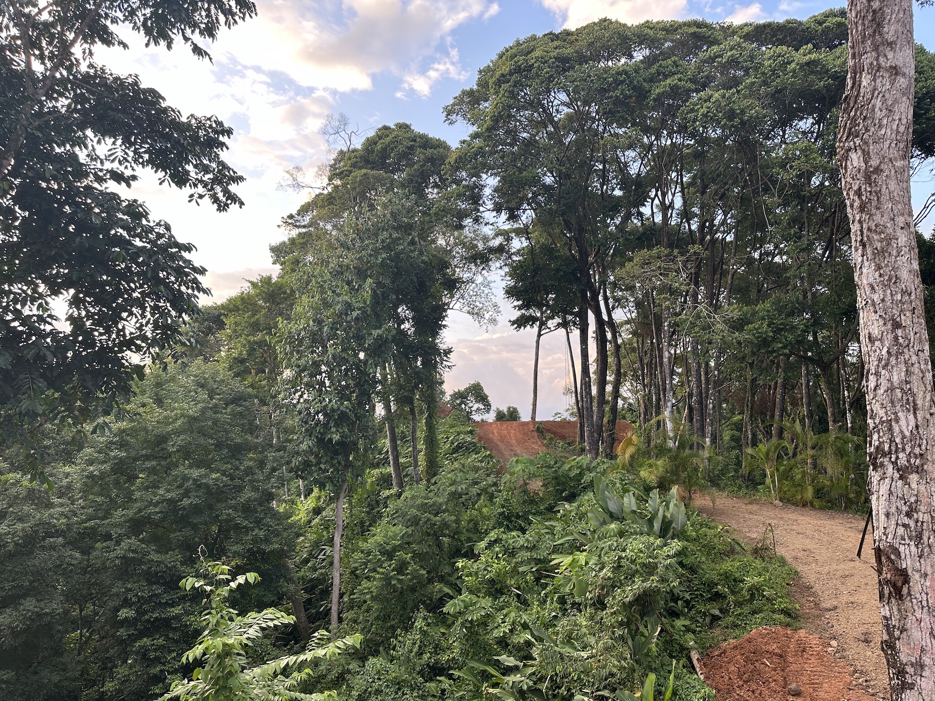 0 bed Land For Sale in Savegre, Puntarenas - thumb 19
