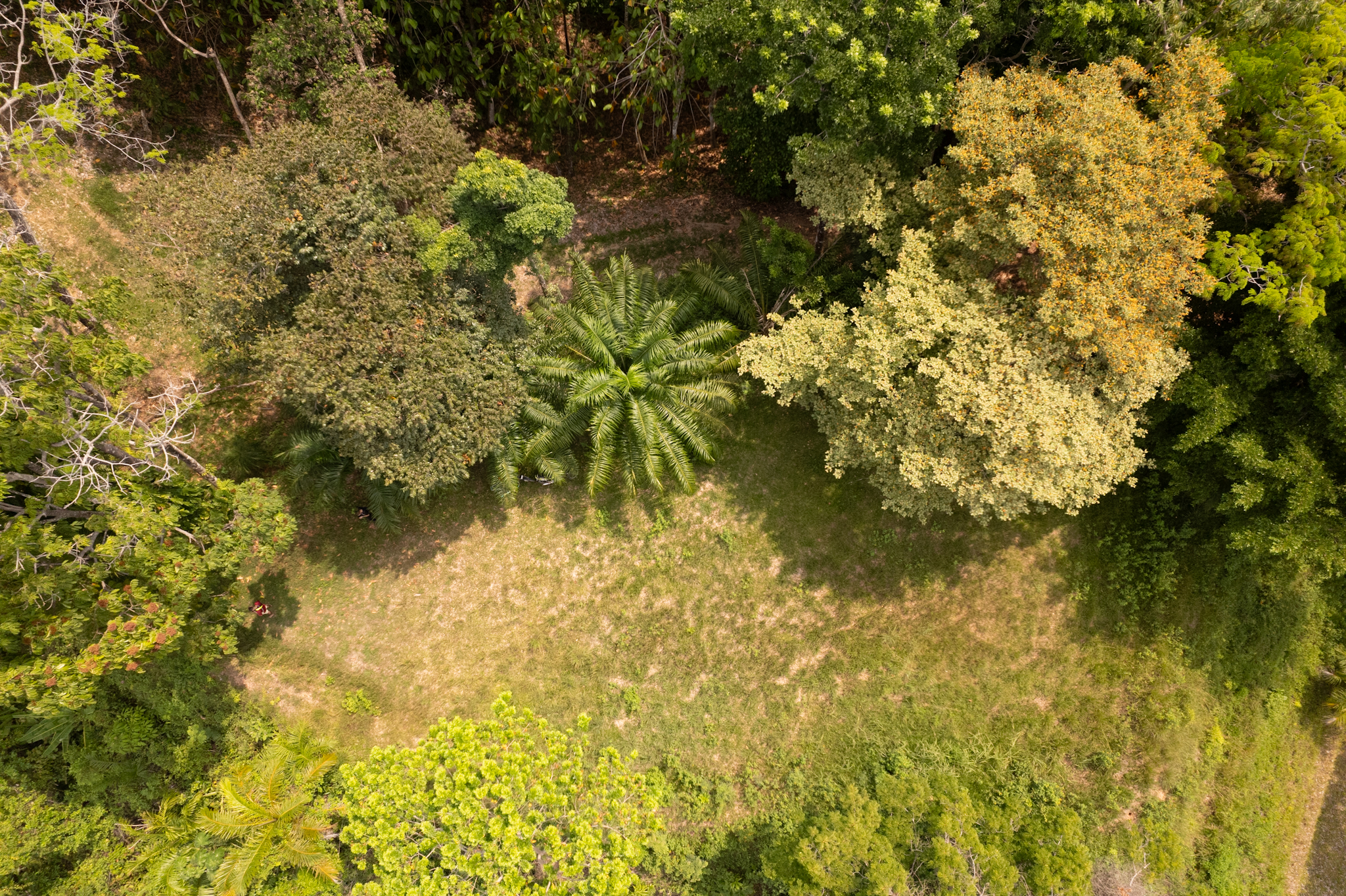 0 bed Land For Sale in Ojochal, Puntarenas - thumb 12