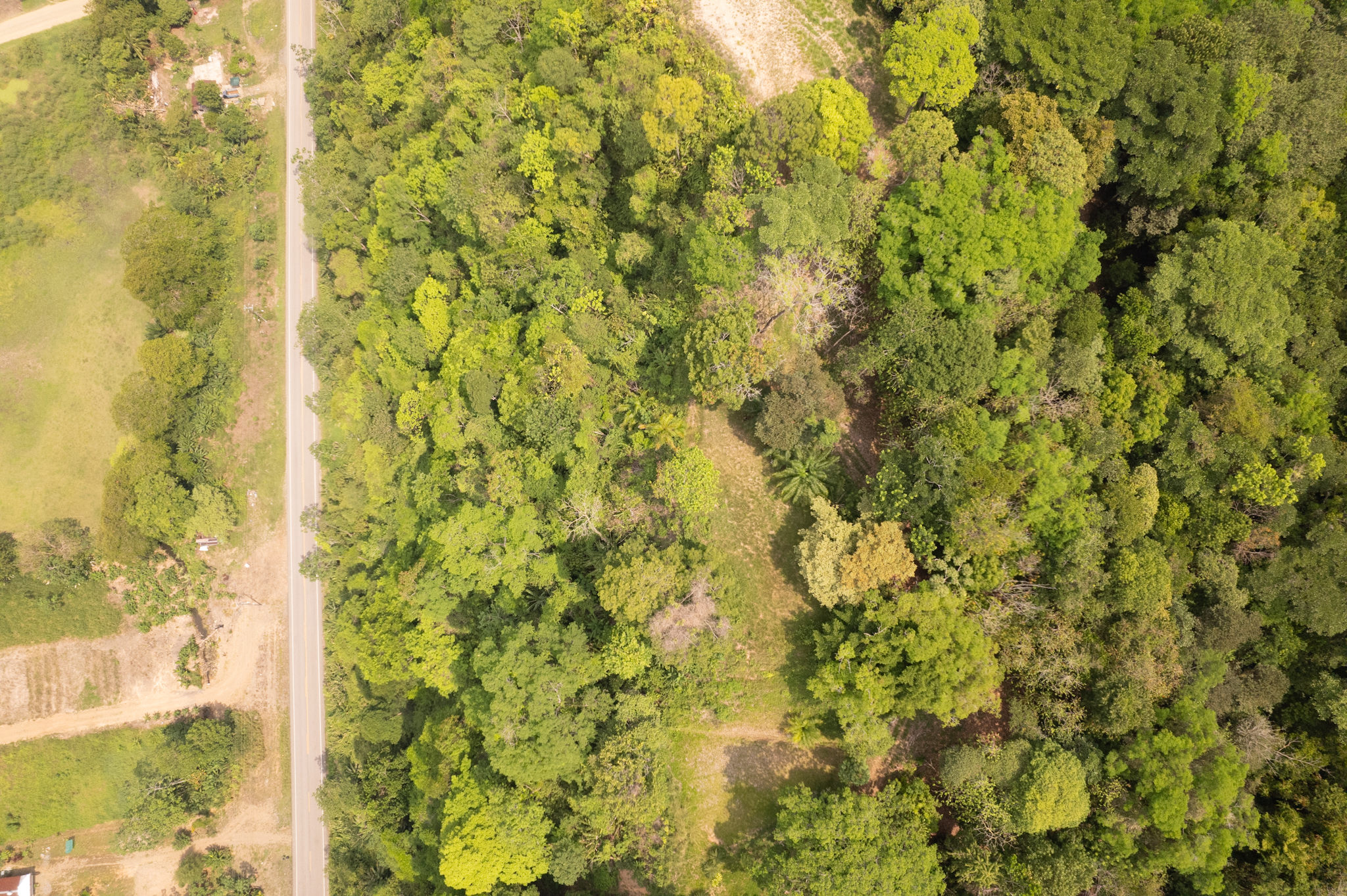 0 bed Land For Sale in Ojochal, Puntarenas - thumb 11