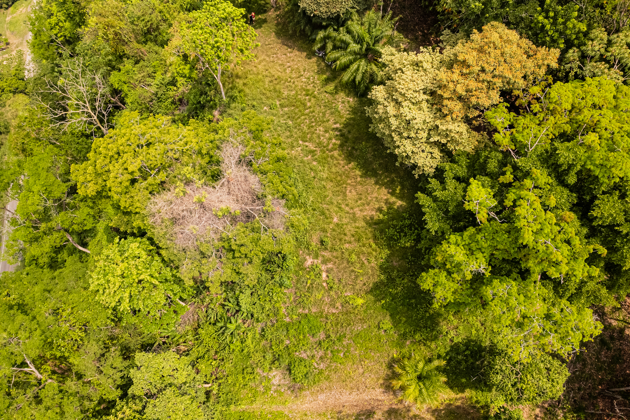 0 bed Land For Sale in Ojochal, Puntarenas - thumb 9