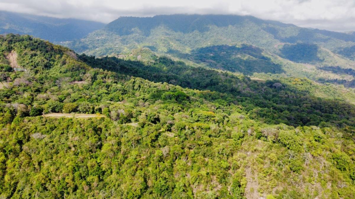 0 bed Land For Sale in Ojochal, Puntarenas - thumb 7