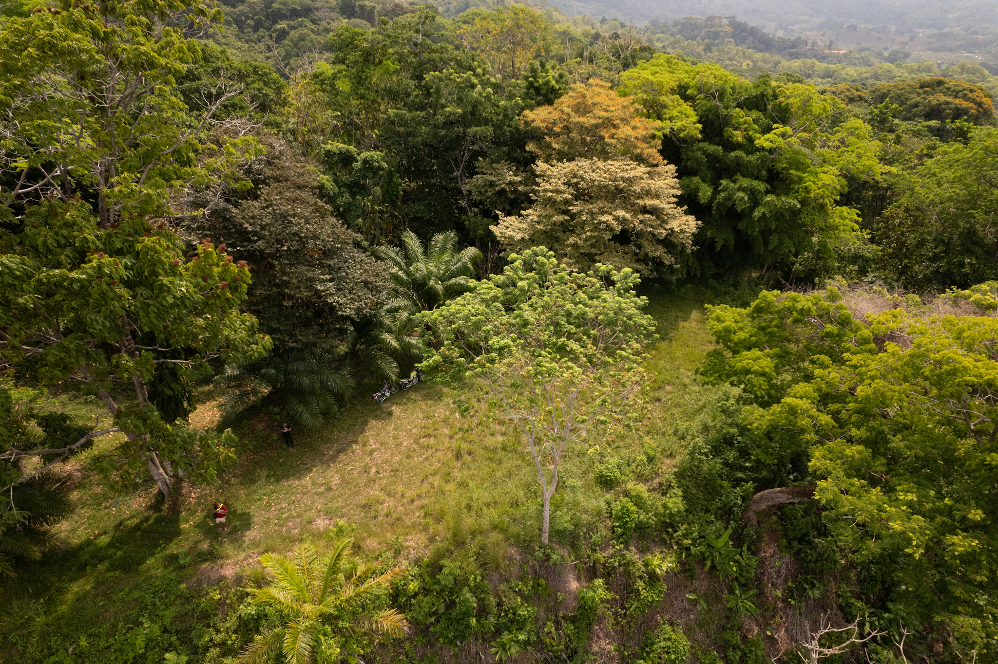 0 bed Land For Sale in Ojochal, Puntarenas - thumb 13
