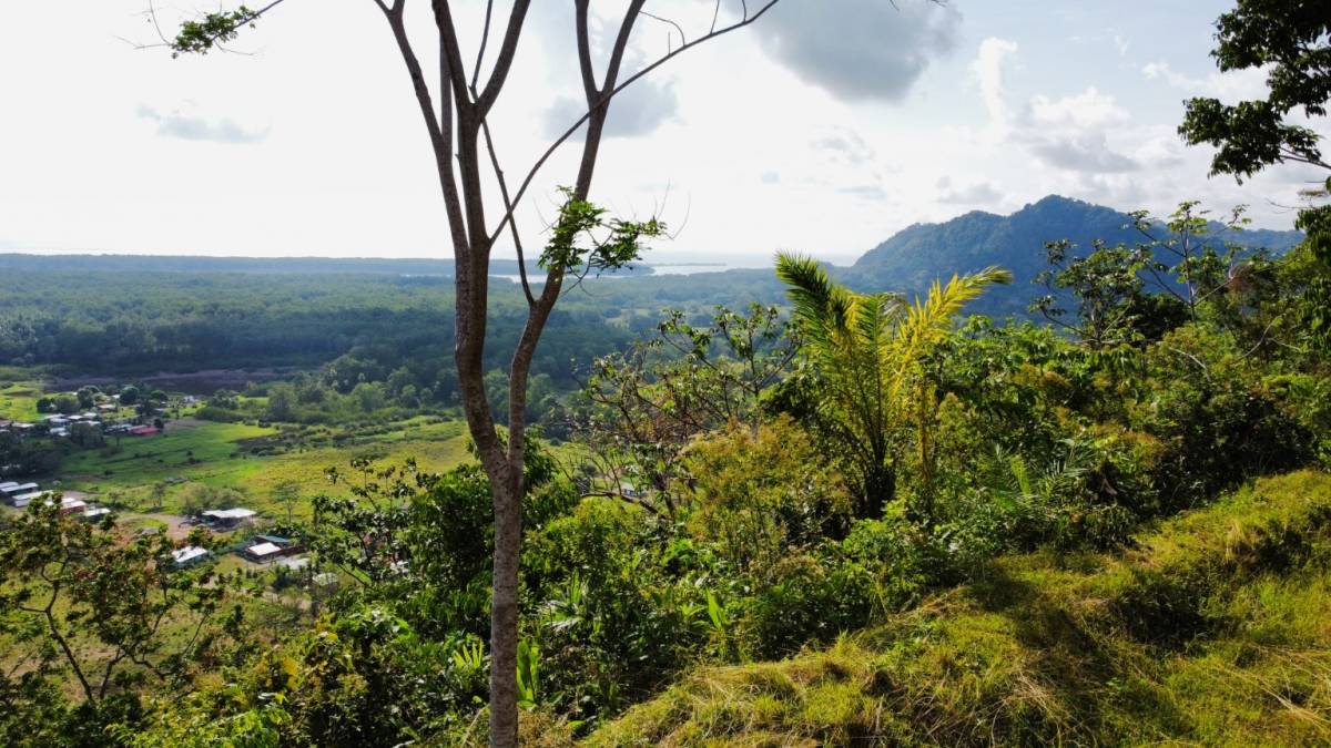 0 bed Land For Sale in Ojochal, Puntarenas - thumb 3