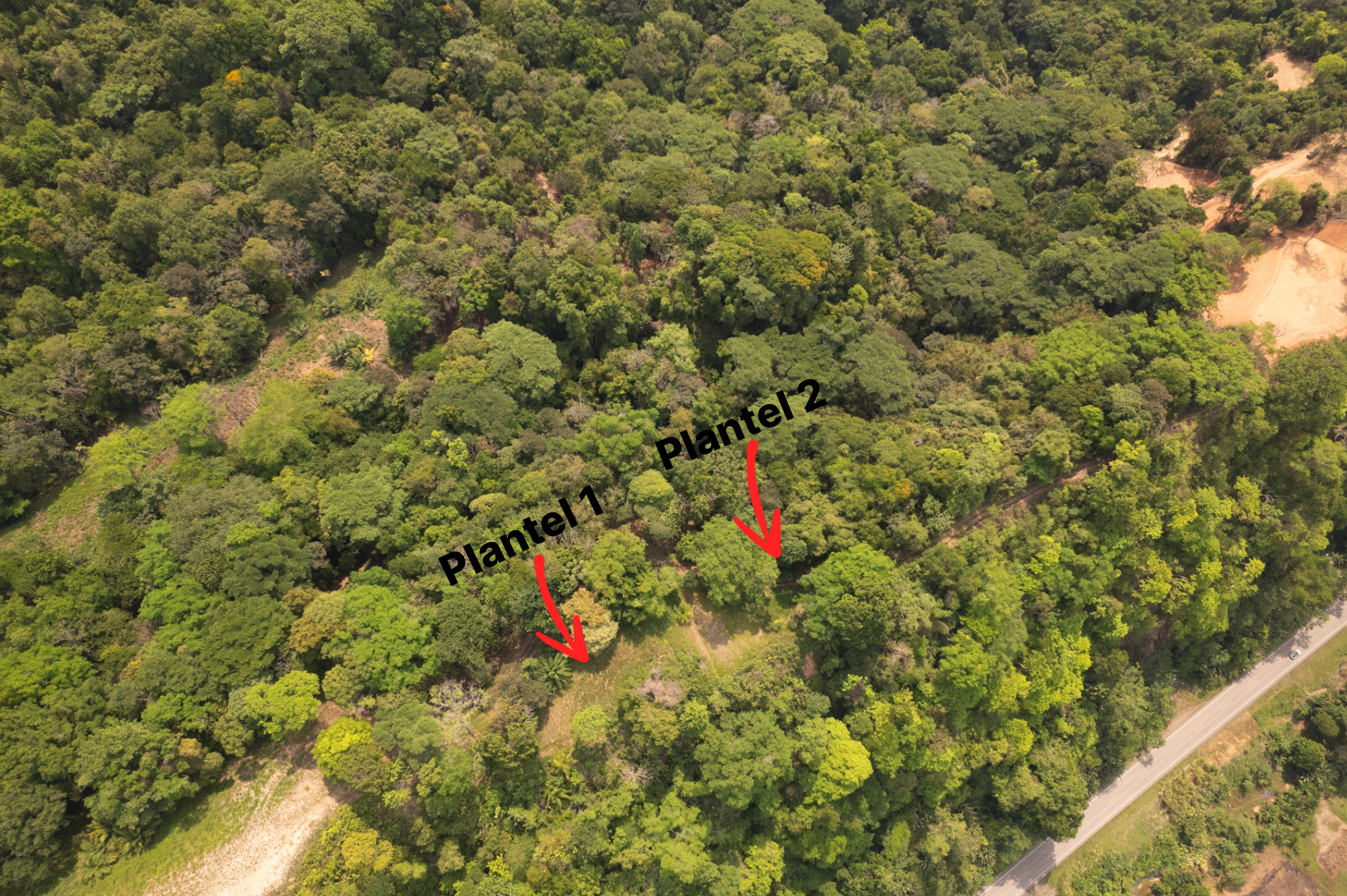 0 bed Land For Sale in Ojochal, Puntarenas - thumb 1