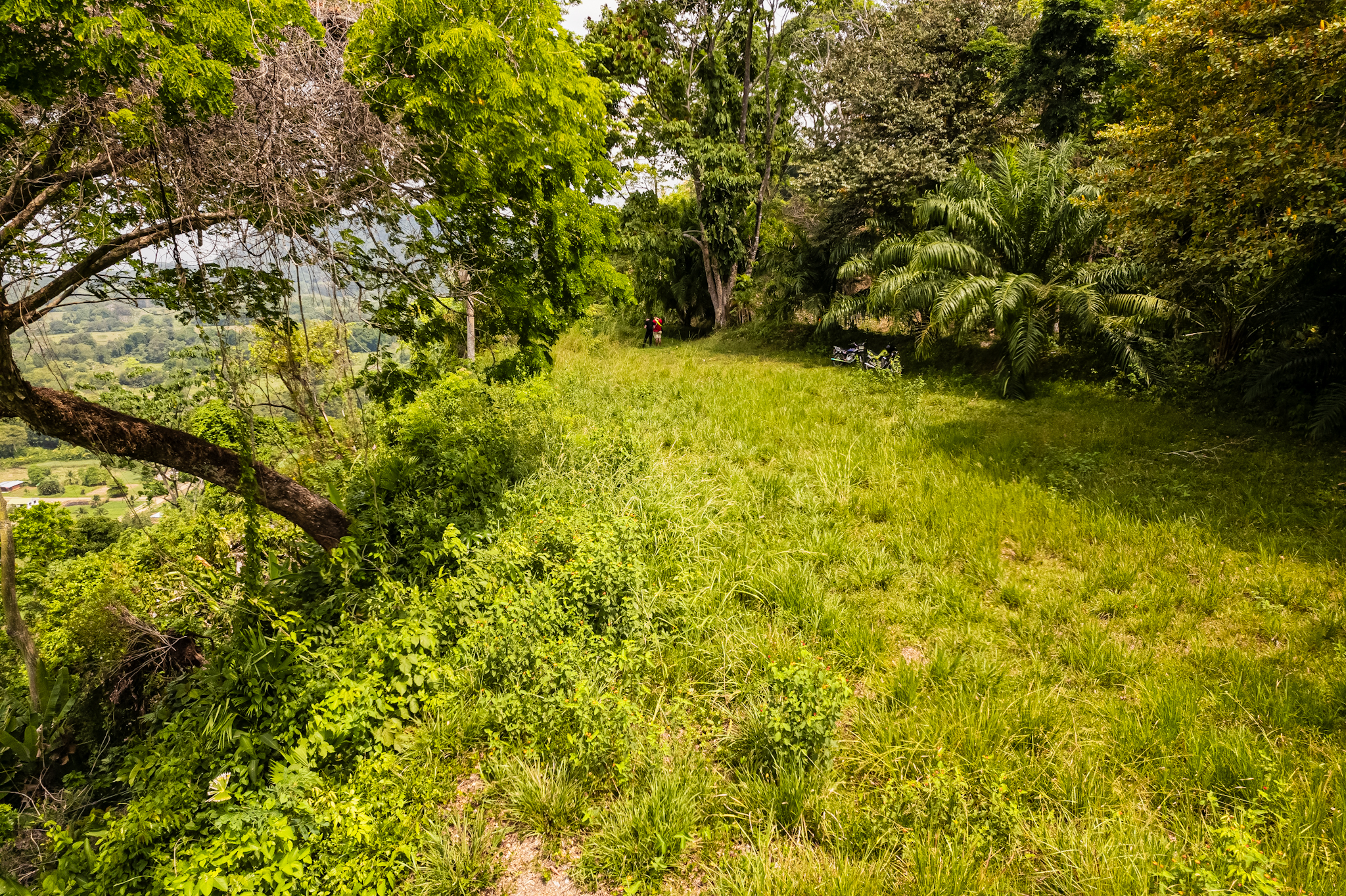 0 bed Land For Sale in Ojochal, Puntarenas - thumb 8