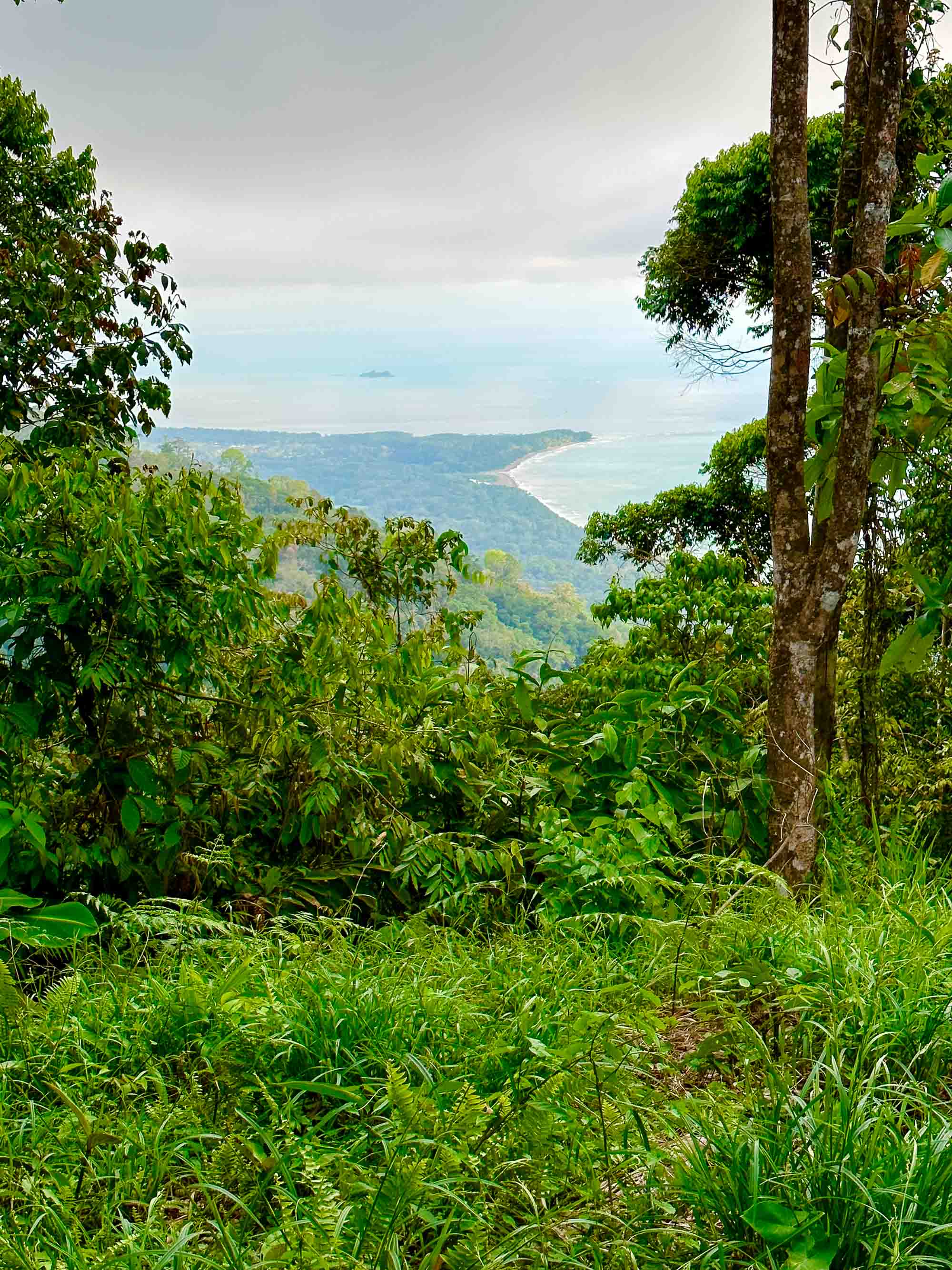 0 bed Land For Sale in Dominical, Puntarenas - thumb 18