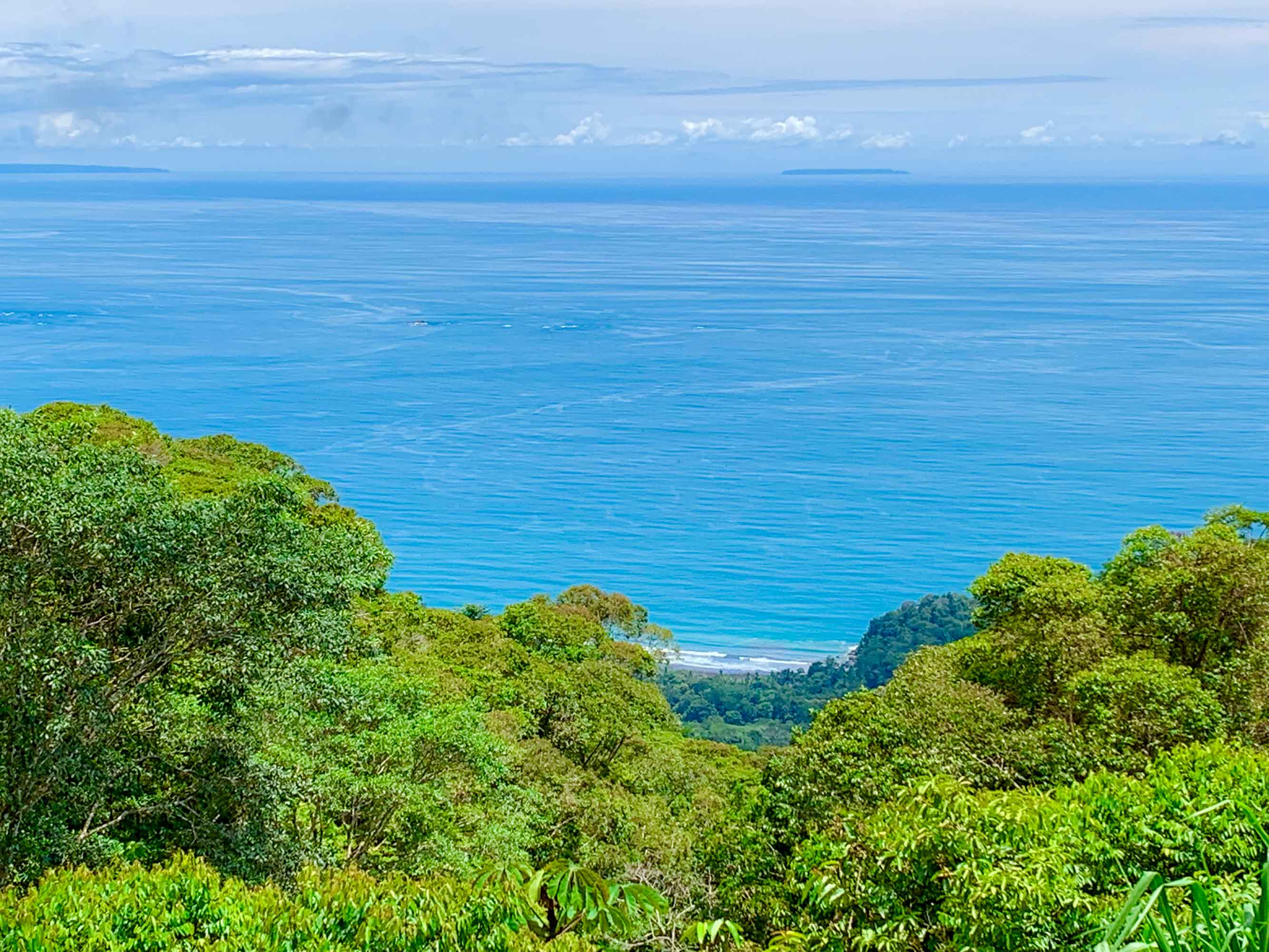 0 bed Land For Sale in Dominical, Puntarenas - thumb 2