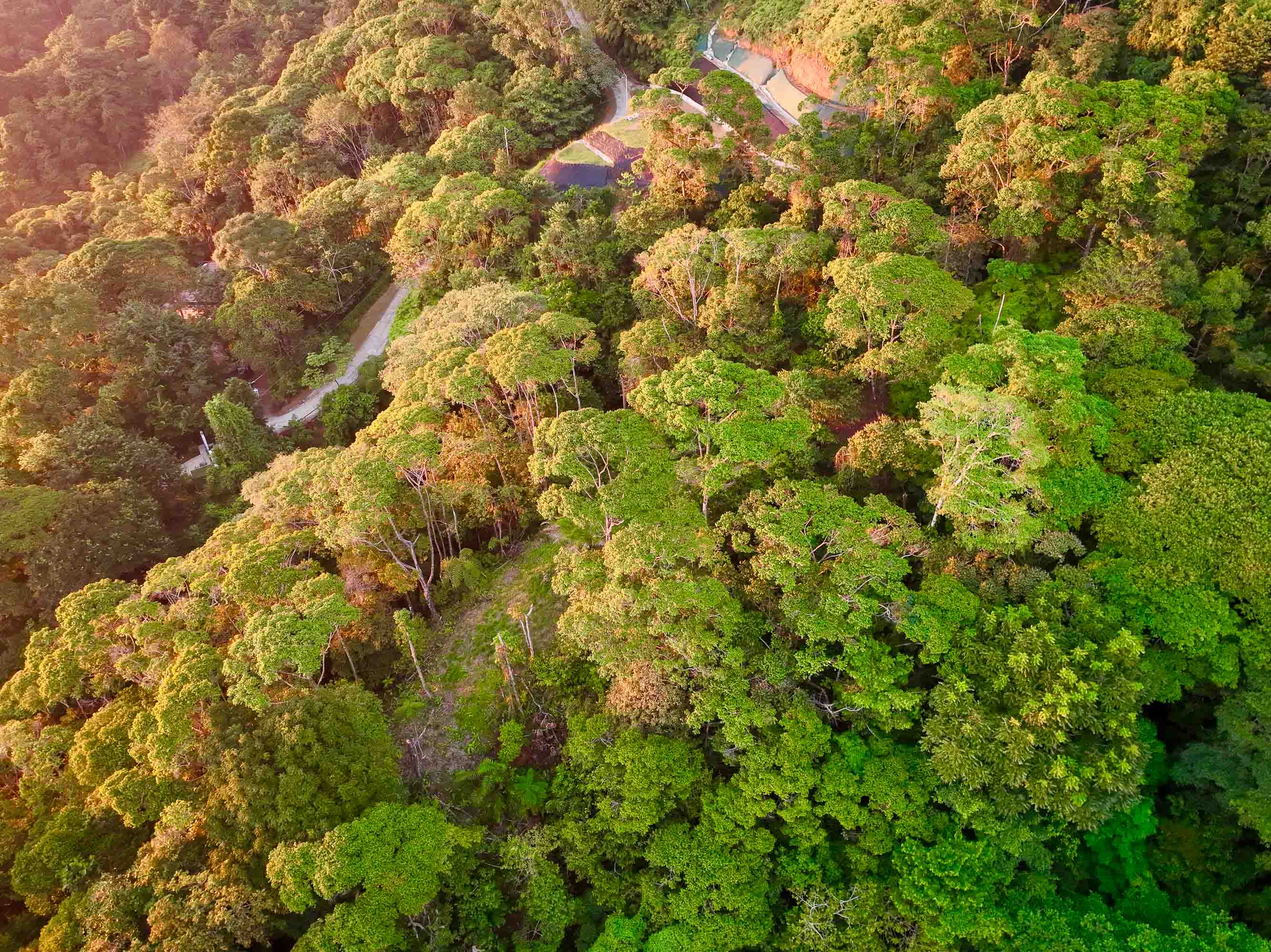 0 bed Land For Sale in Dominical, Puntarenas - thumb 13