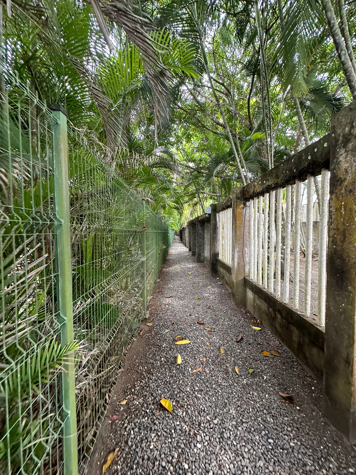 2 bed Condo For Sale in Jaco, Puntarenas - thumb 21