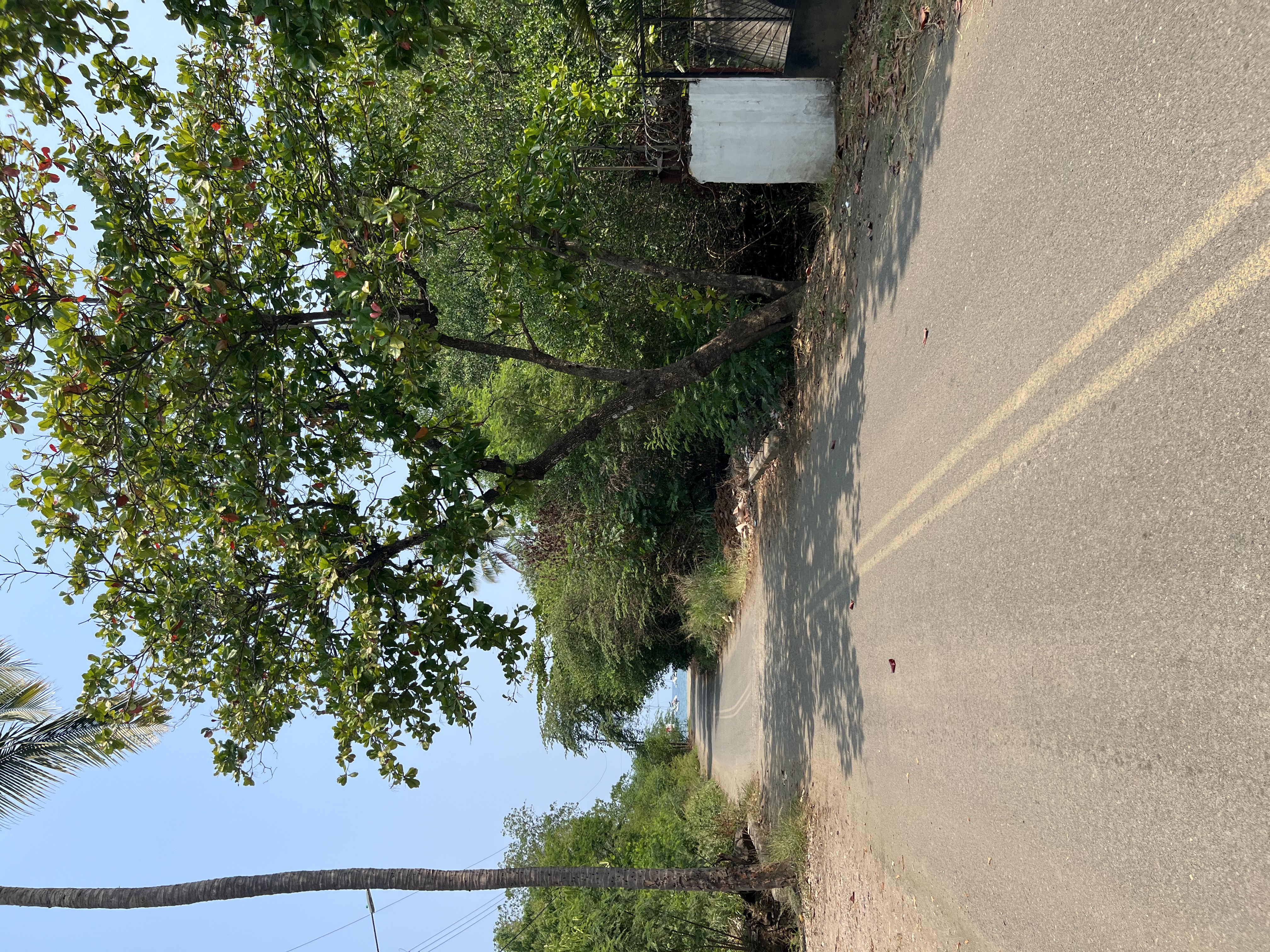 0 bed Land For Sale in Playas Del Coco, Guanacaste - thumb 5