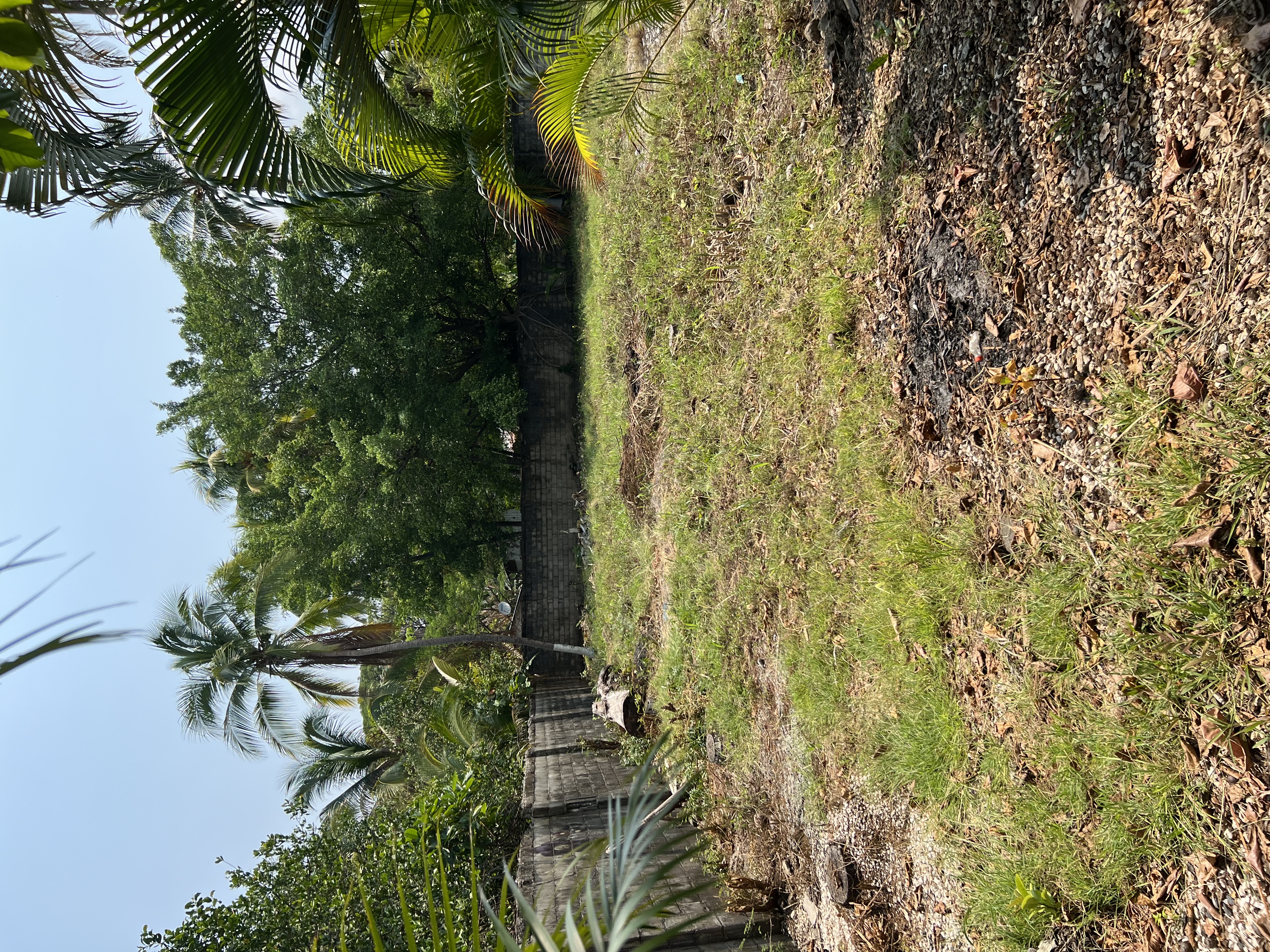 0 bed Land For Sale in Playas Del Coco, Guanacaste - thumb 1