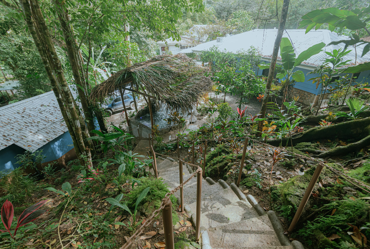 12 bed Hotel / Leisure For Sale in Manuel Antonio, Puntarenas - thumb 3