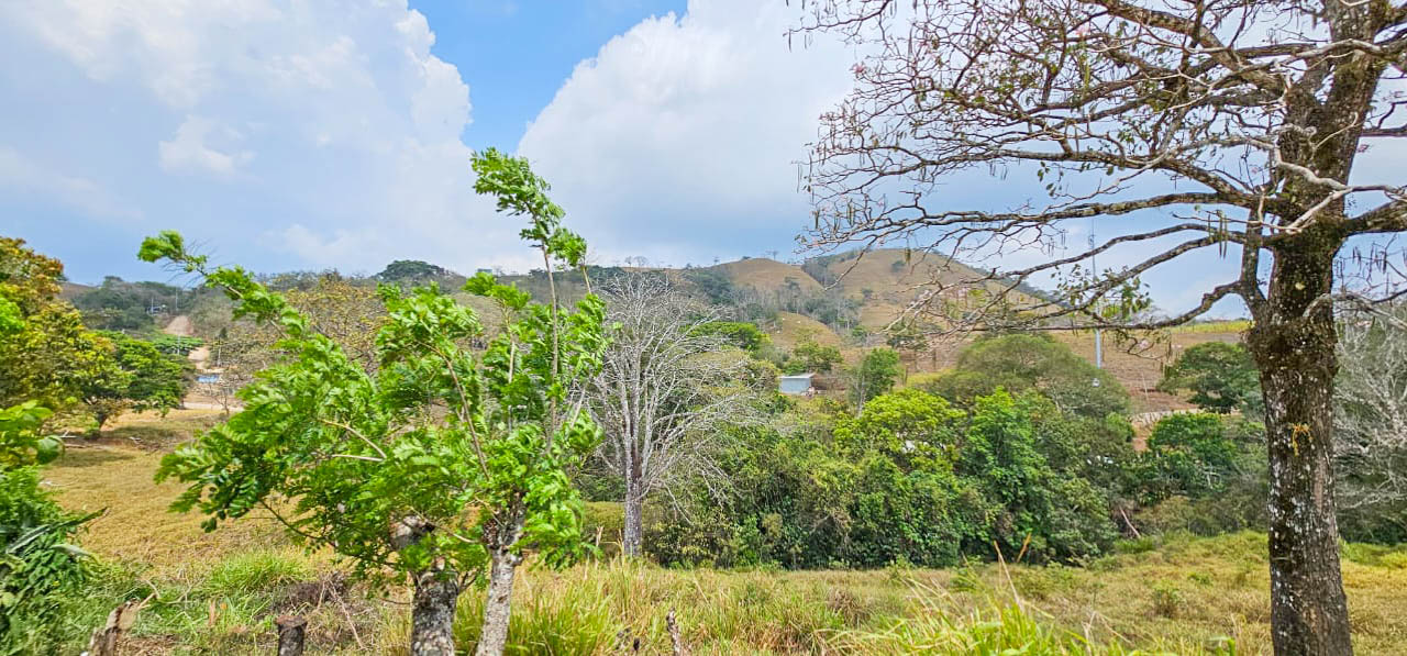 3 bed Single Family Homes For Sale in Samara, Guanacaste - thumb 24