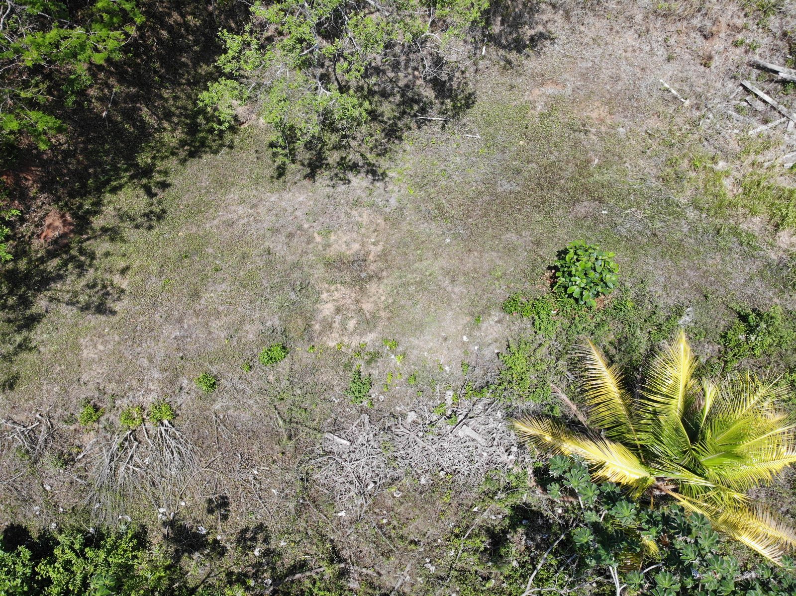 0 bed Land For Sale in Samara, Guanacaste - thumb 4