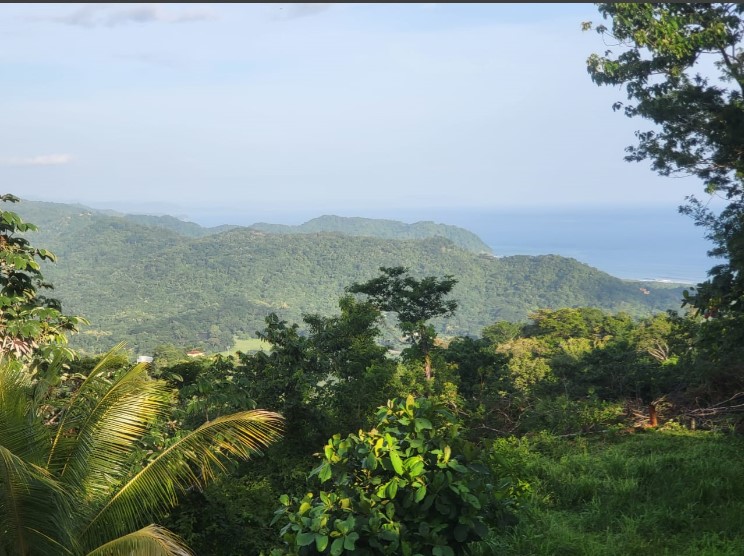 0 bed Land For Sale in Samara, Guanacaste - thumb 12