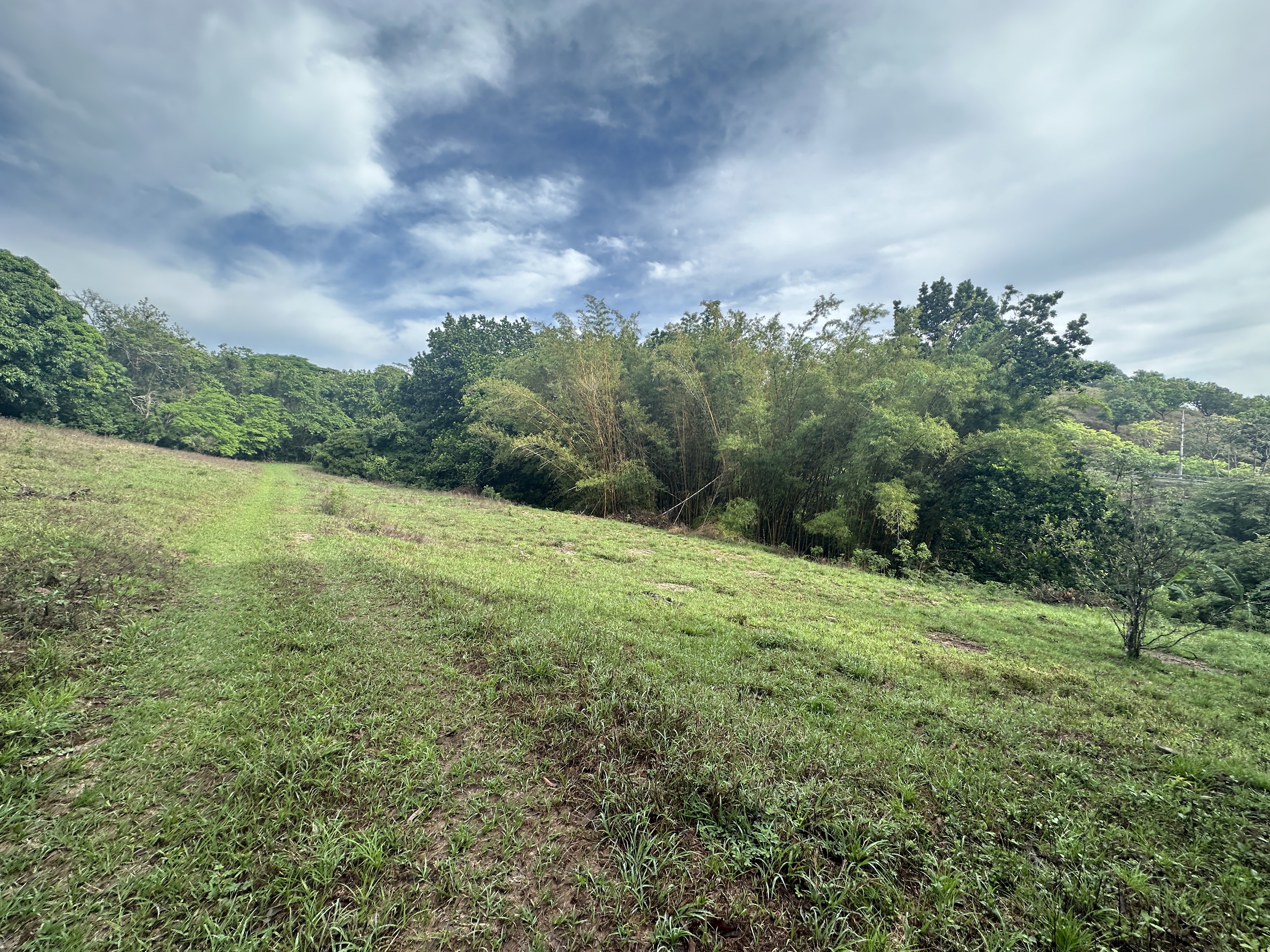 0 bed Land For Sale in Atenas, Alajuela - thumb 10