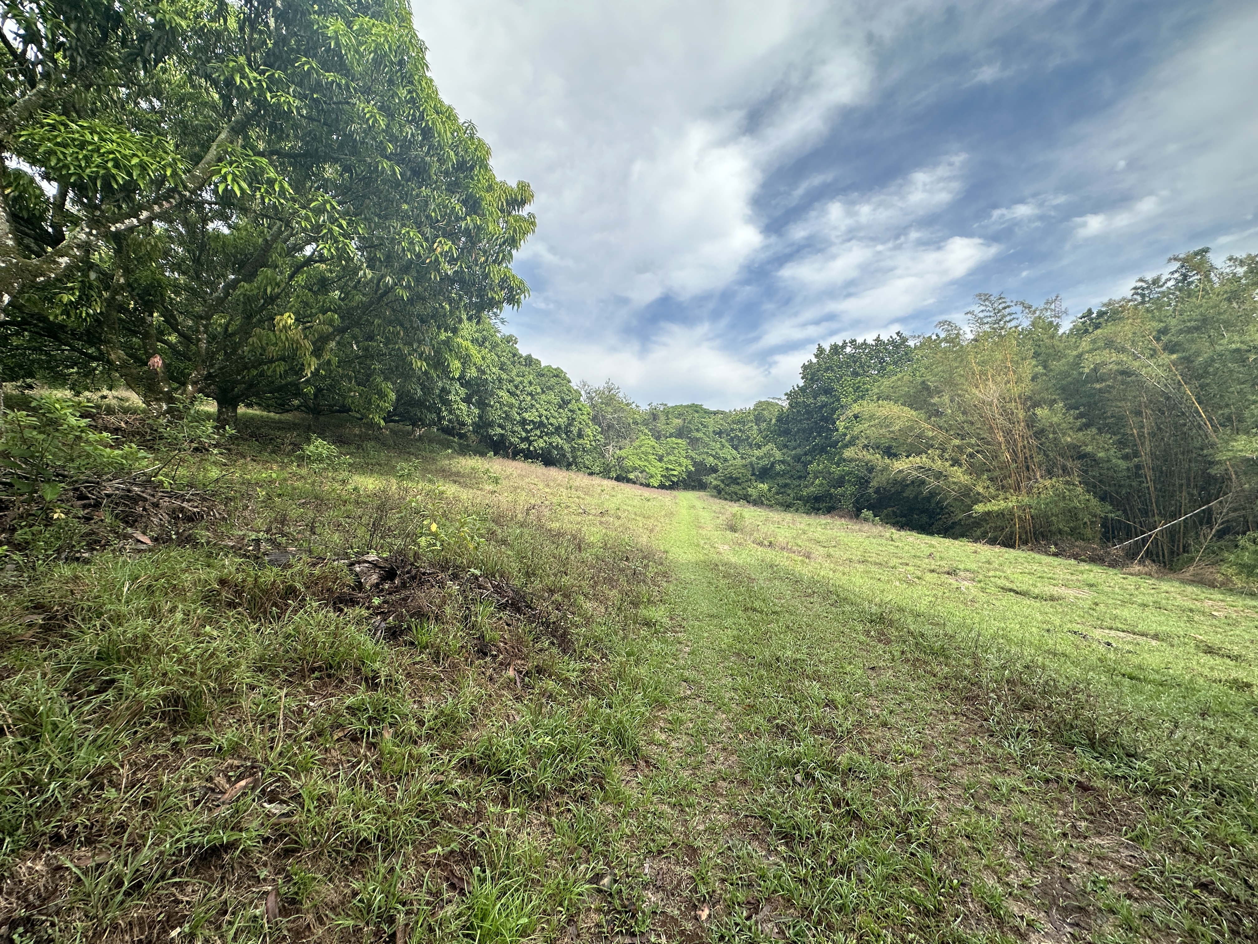 0 bed Land For Sale in Atenas, Alajuela - thumb 9