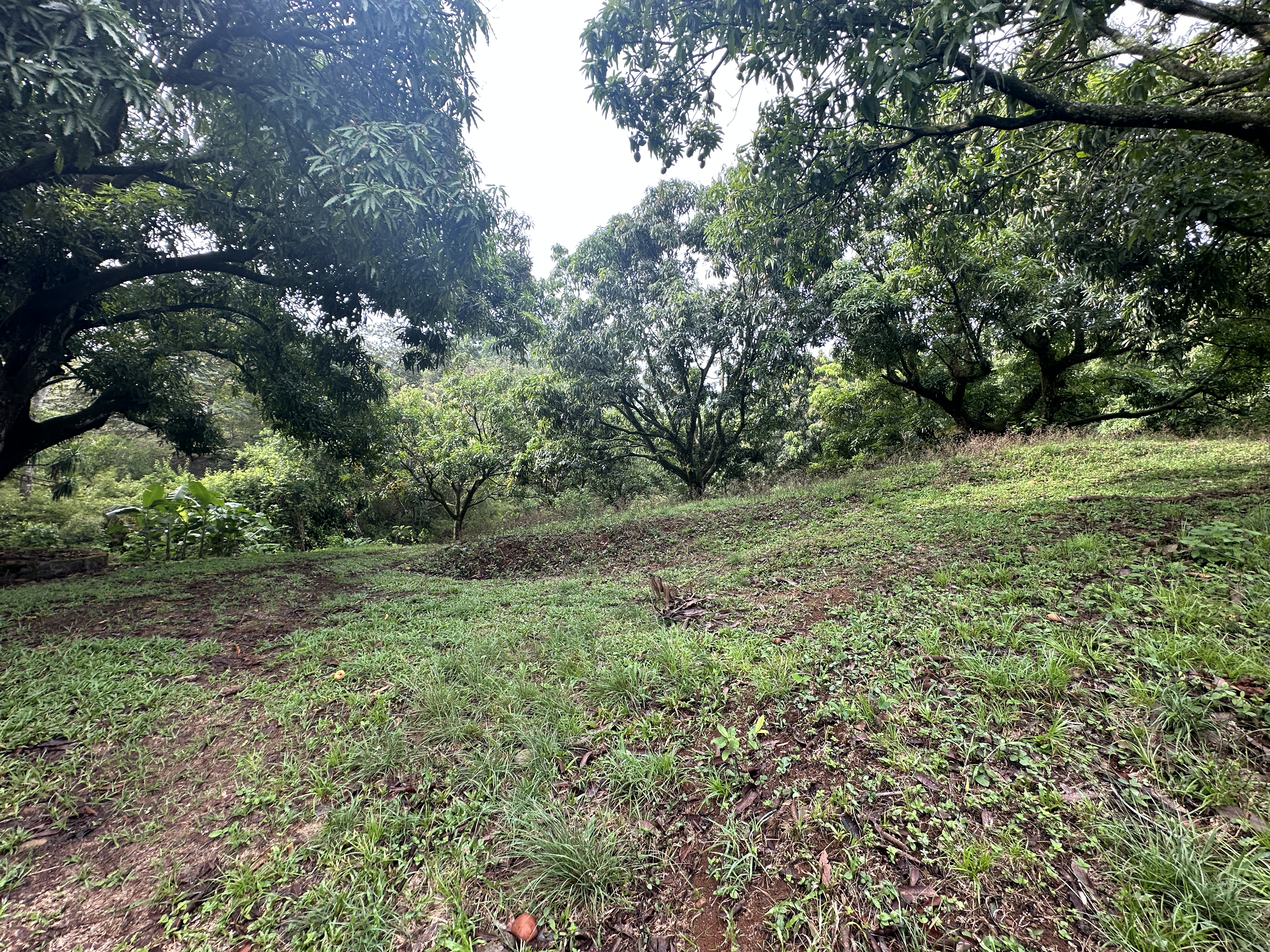 0 bed Land For Sale in Atenas, Alajuela - thumb 3
