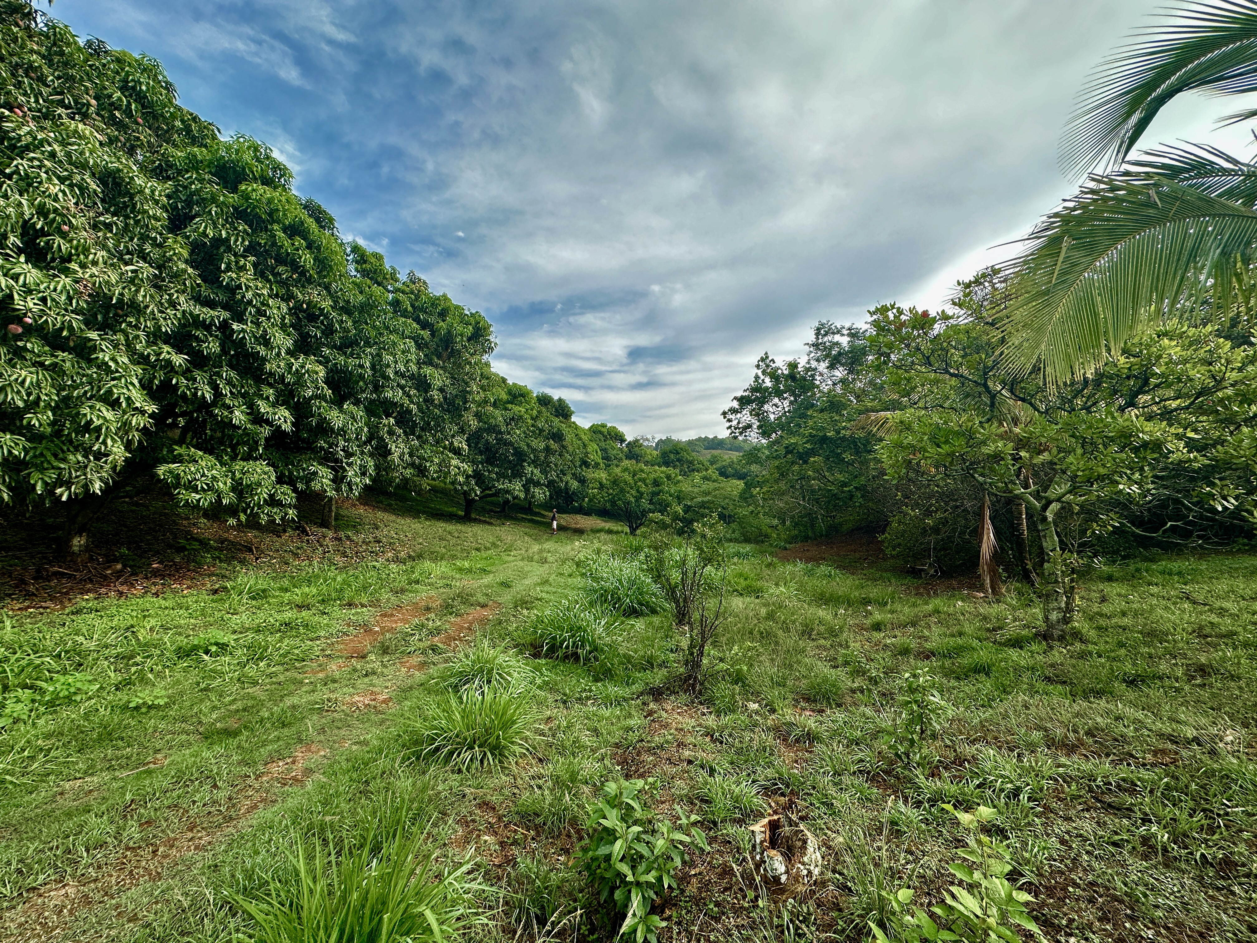 0 bed Land For Sale in Atenas, Alajuela - thumb 1