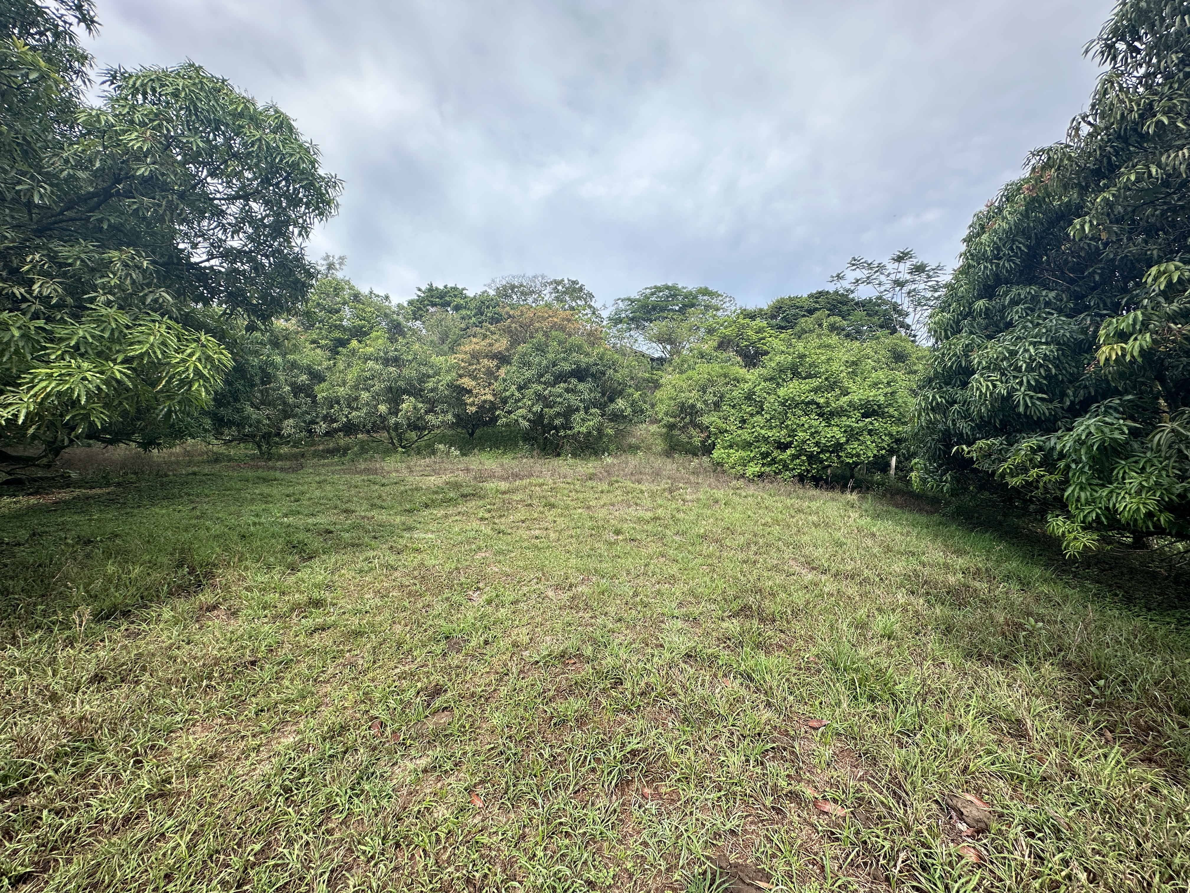 0 bed Land For Sale in Atenas, Alajuela - thumb 13