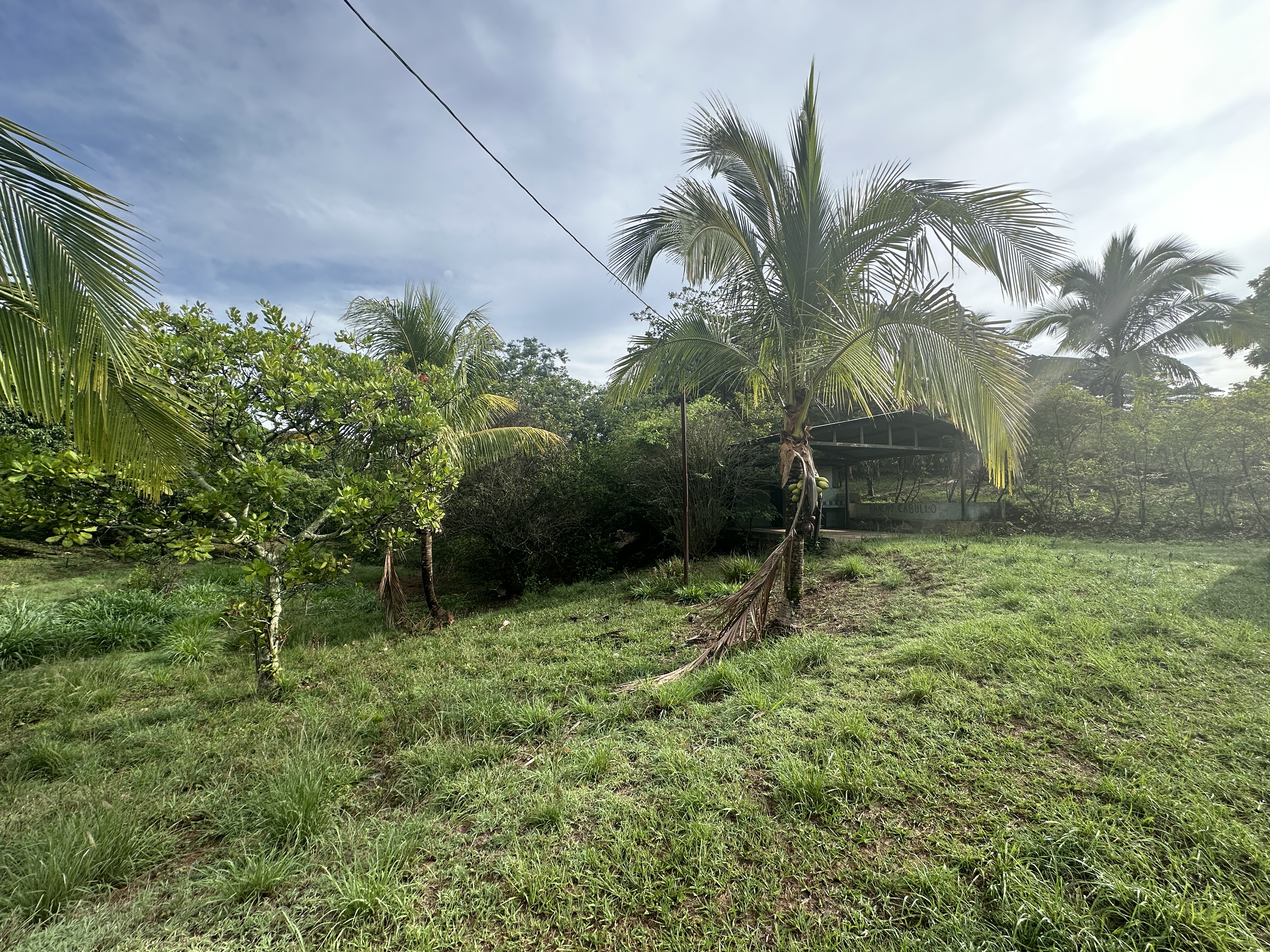 0 bed Land For Sale in Atenas, Alajuela - thumb 6