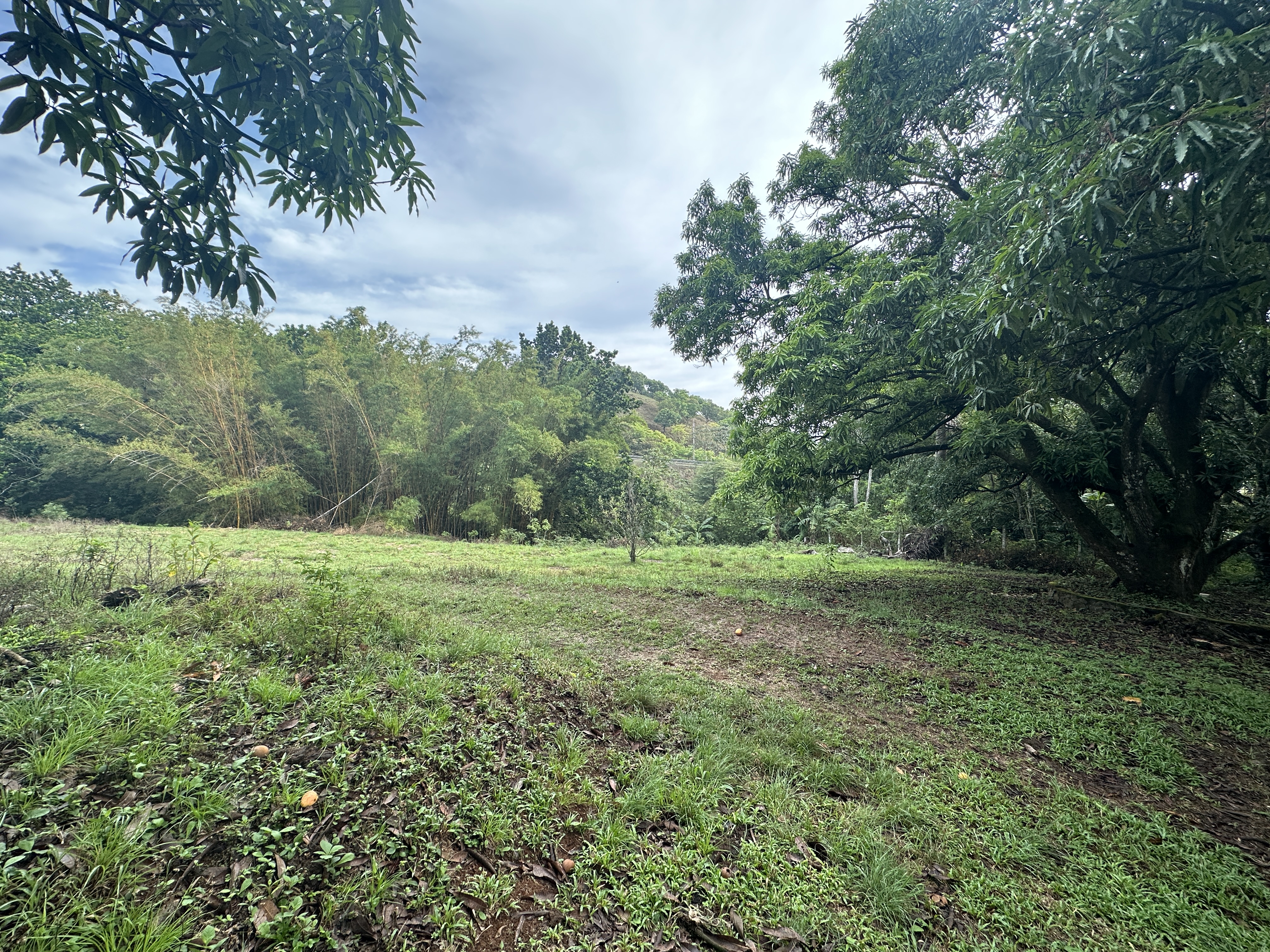 0 bed Land For Sale in Atenas, Alajuela - thumb 12