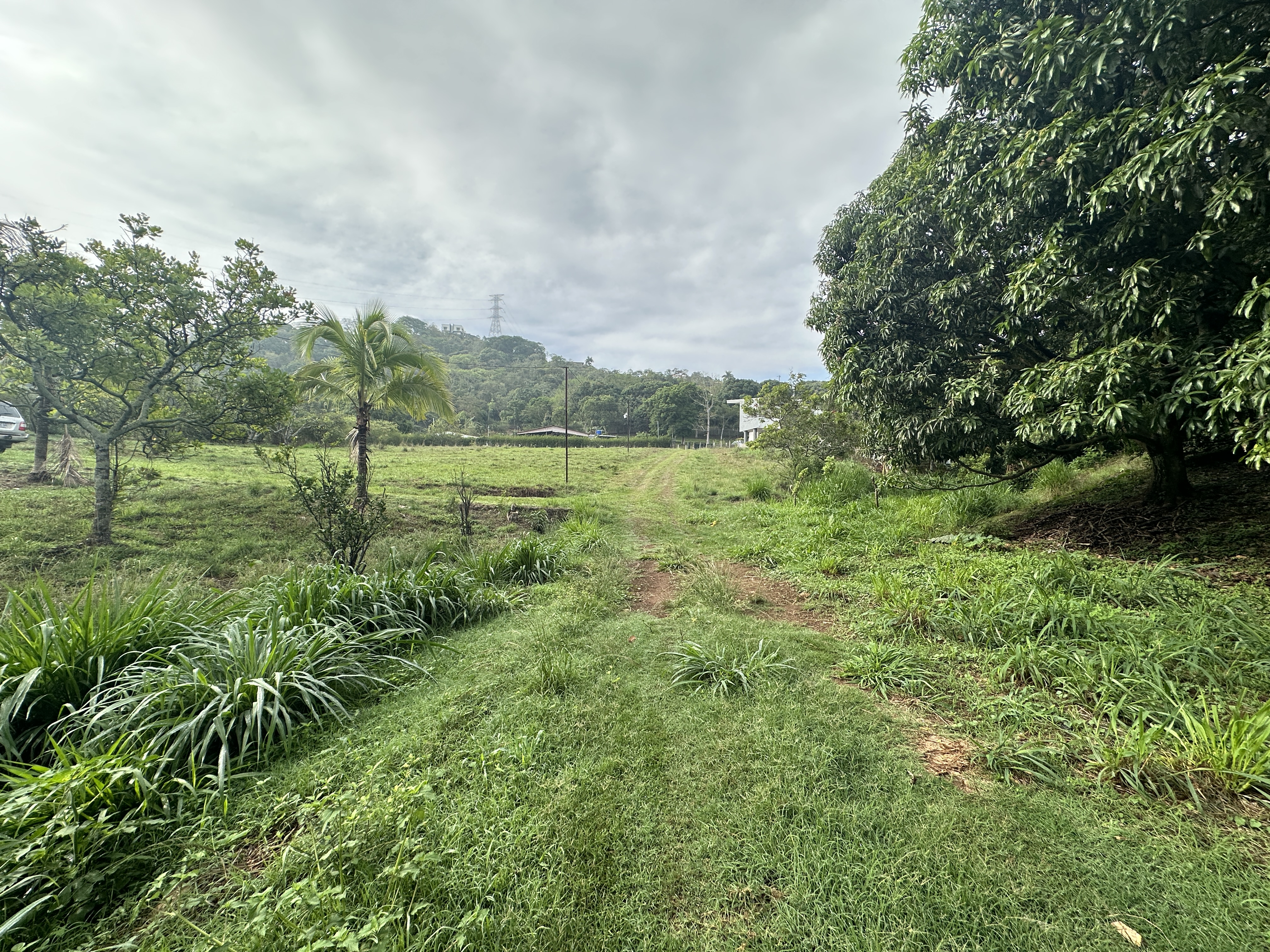 0 bed Land For Sale in Atenas, Alajuela - thumb 7