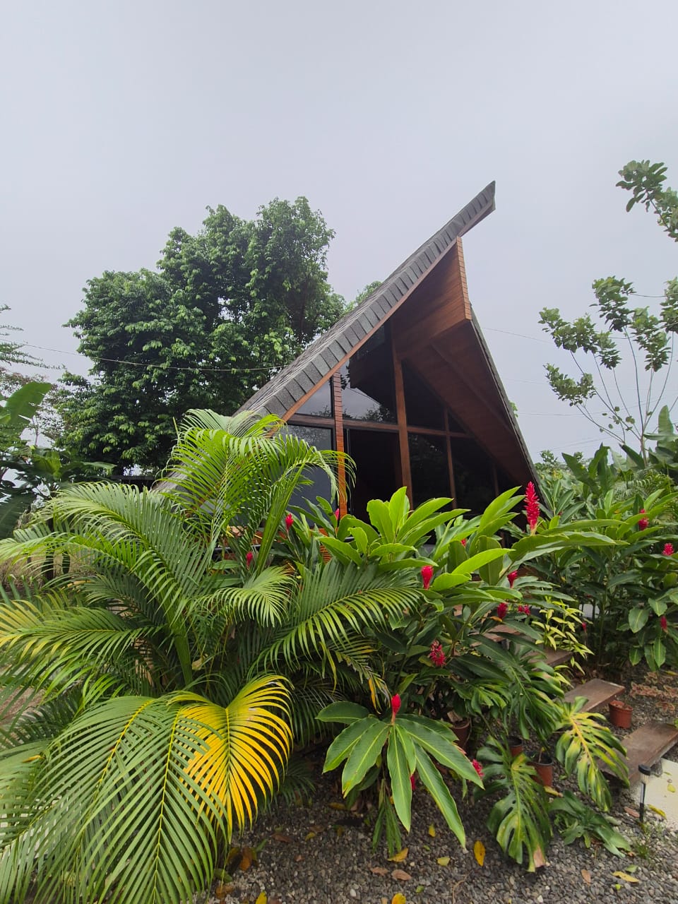 3 bed Single Family Homes For Sale in La Fortuna, Alajuela - thumb 13