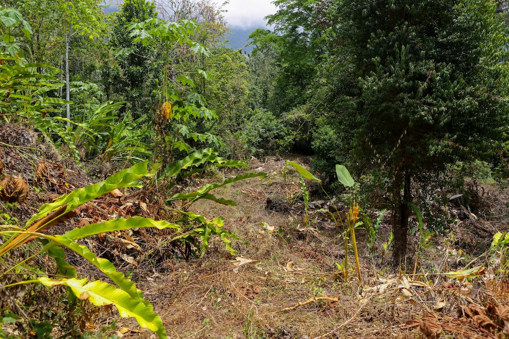 0 bed Land For Sale in Ojochal, Puntarenas - thumb 22
