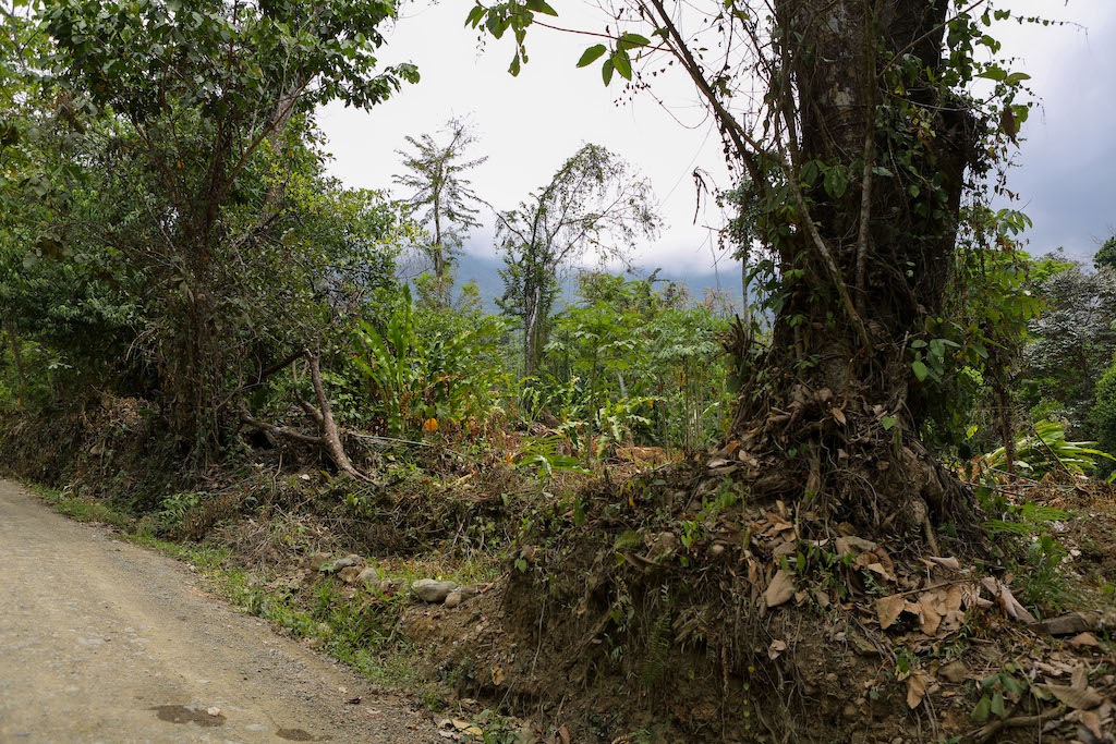 0 bed Land For Sale in Ojochal, Puntarenas - thumb 21