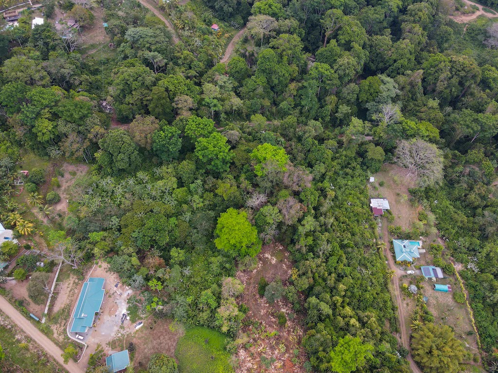 0 bed Land For Sale in Ojochal, Puntarenas - thumb 5