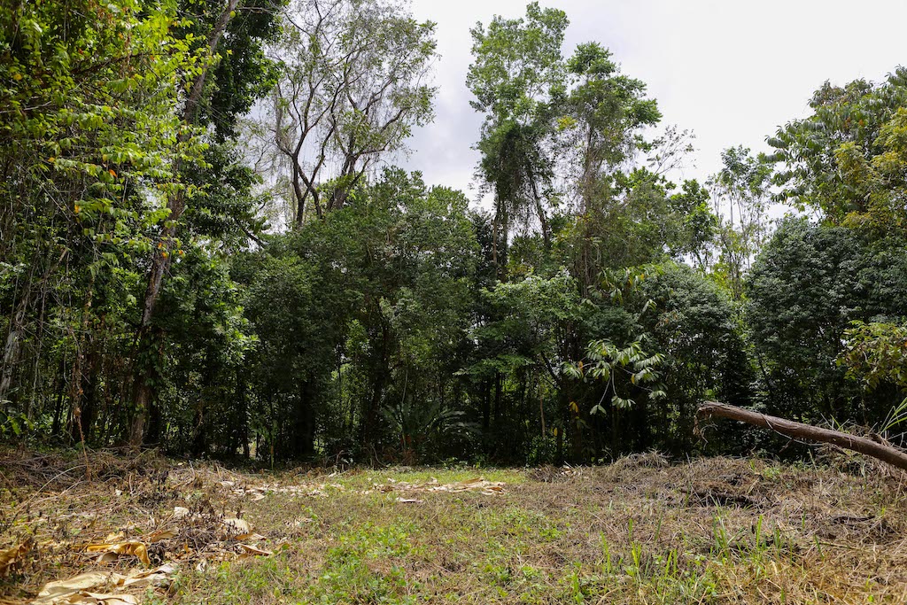 0 bed Land For Sale in Ojochal, Puntarenas - thumb 24