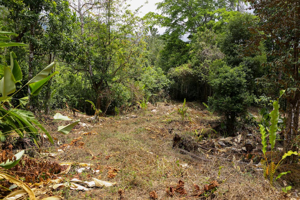 0 bed Land For Sale in Ojochal, Puntarenas - thumb 23