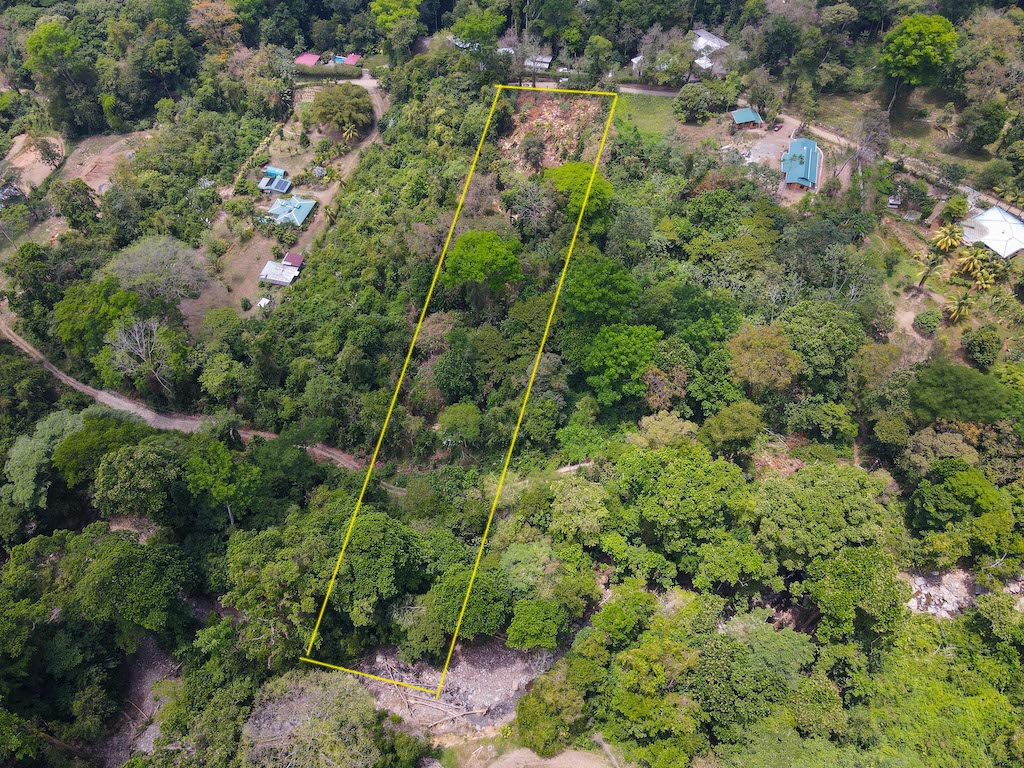 0 bed Land For Sale in Ojochal, Puntarenas - thumb 1