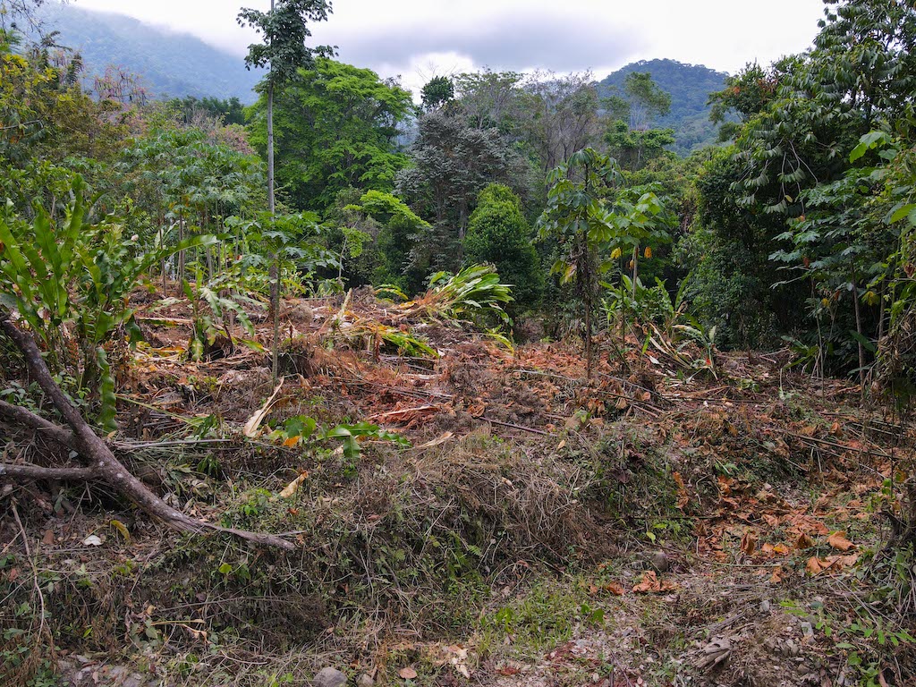 0 bed Land For Sale in Ojochal, Puntarenas - thumb 8