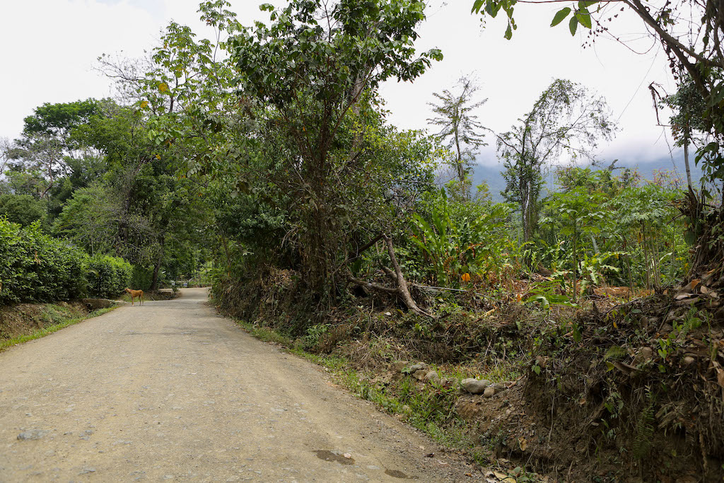 0 bed Land For Sale in Ojochal, Puntarenas - thumb 20