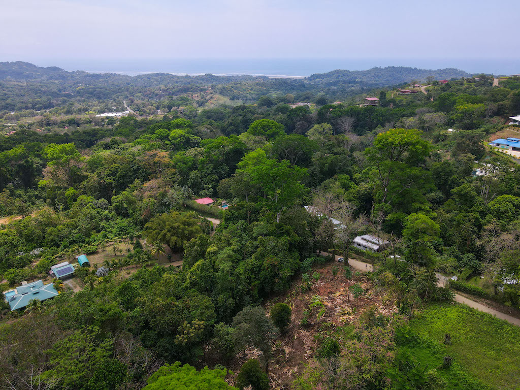 0 bed Land For Sale in Ojochal, Puntarenas - thumb 13