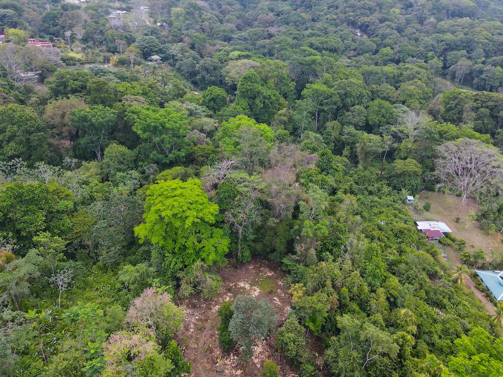 0 bed Land For Sale in Ojochal, Puntarenas - thumb 9