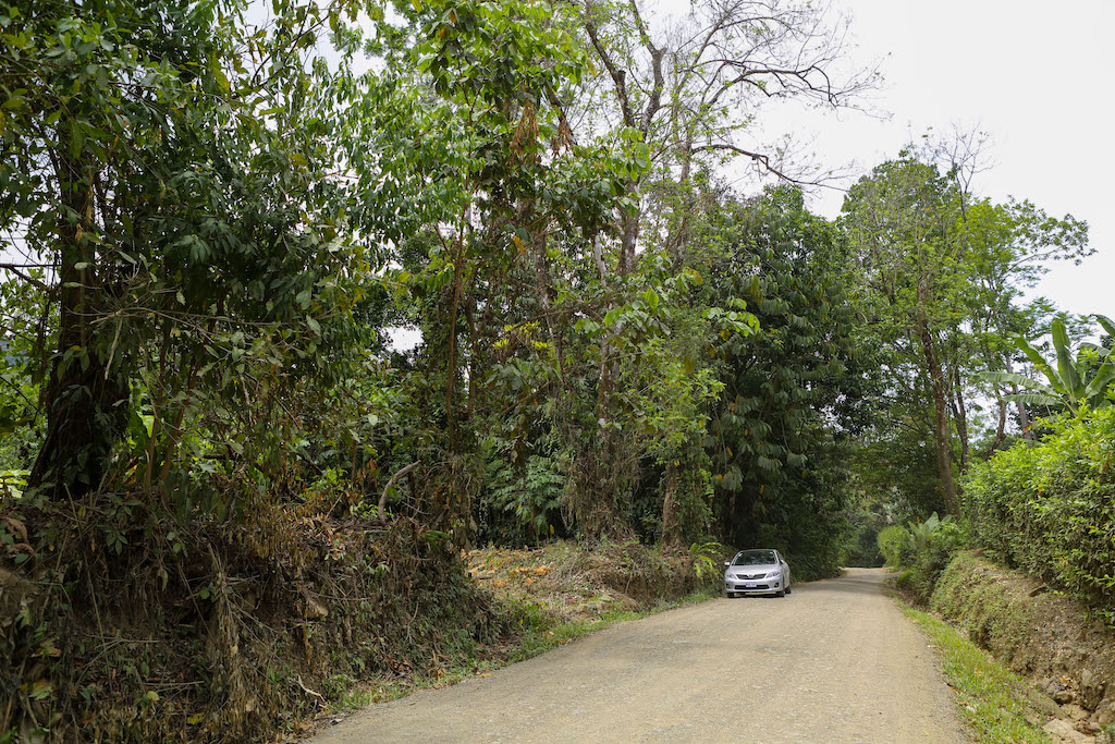 0 bed Land For Sale in Ojochal, Puntarenas - thumb 19