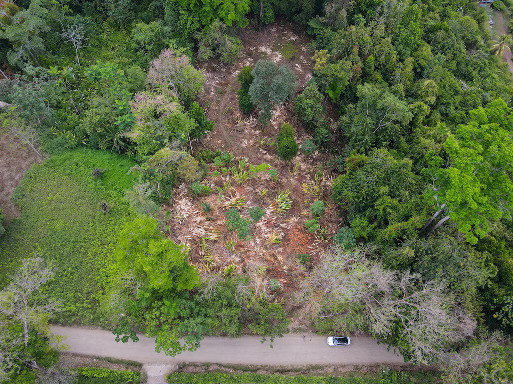 0 bed Land For Sale in Ojochal, Puntarenas - thumb 7