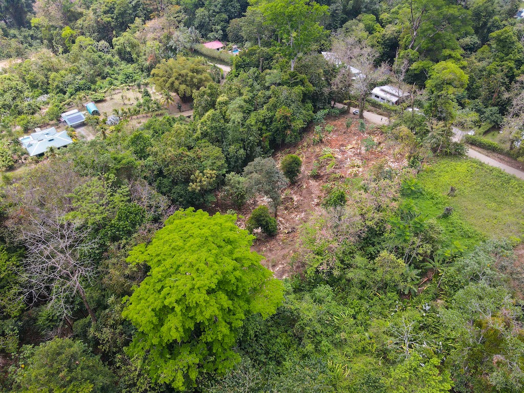 0 bed Land For Sale in Ojochal, Puntarenas - thumb 11