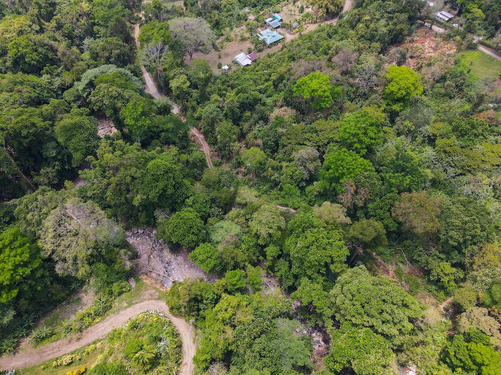 0 bed Land For Sale in Ojochal, Puntarenas - thumb 15