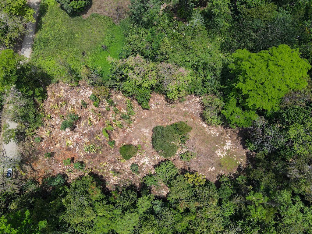 0 bed Land For Sale in Ojochal, Puntarenas - thumb 18