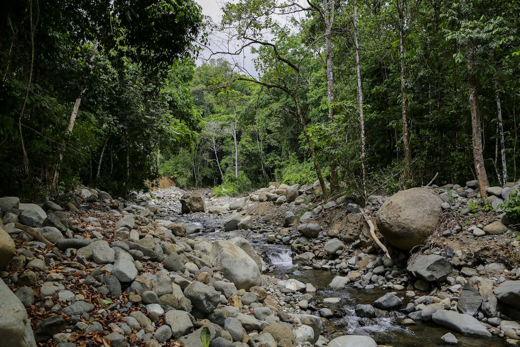 0 bed Land For Sale in Ojochal, Puntarenas - thumb 3