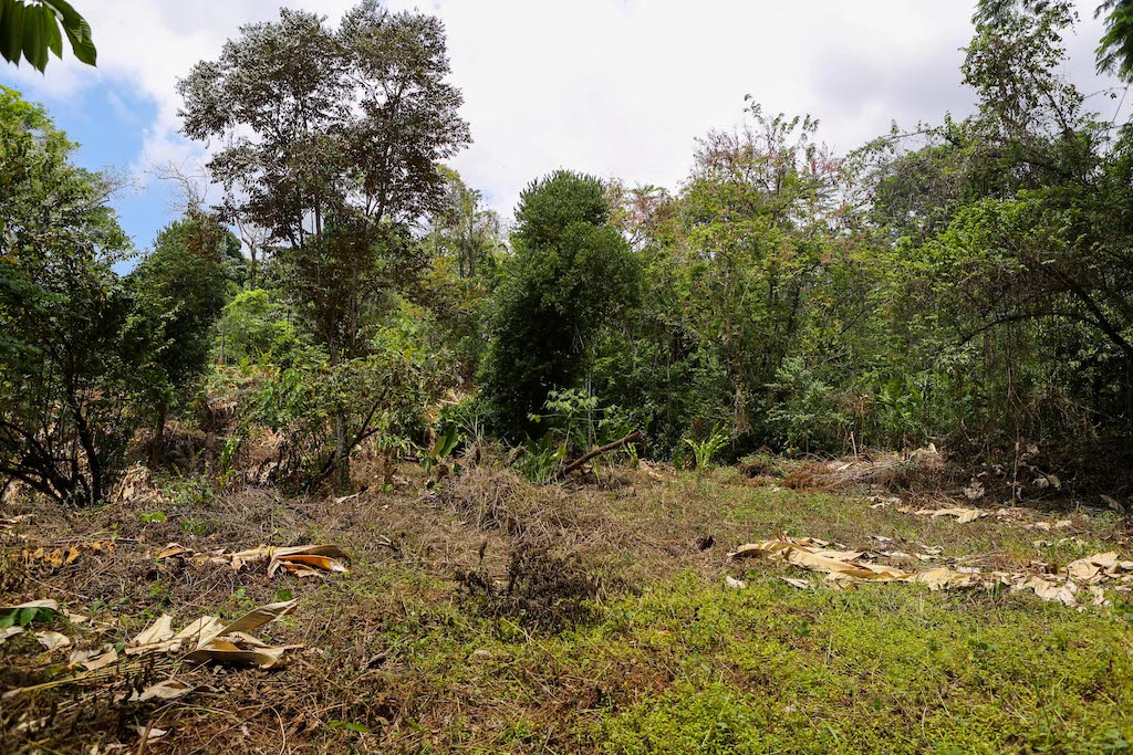 0 bed Land For Sale in Ojochal, Puntarenas - thumb 25