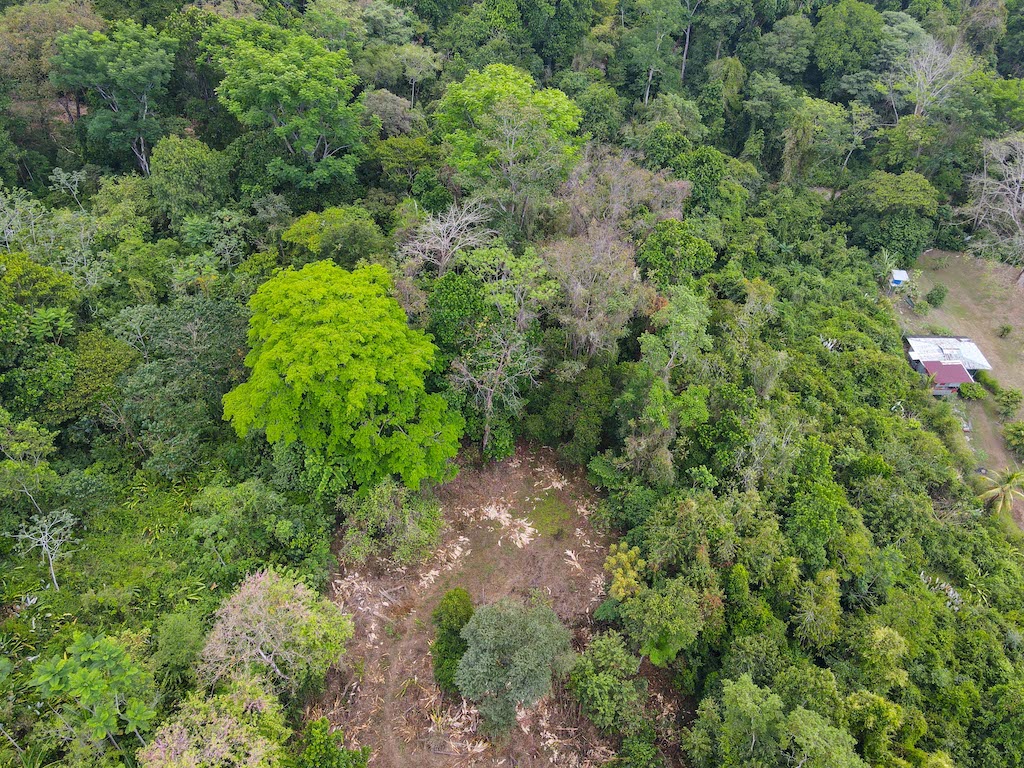 0 bed Land For Sale in Ojochal, Puntarenas - thumb 4