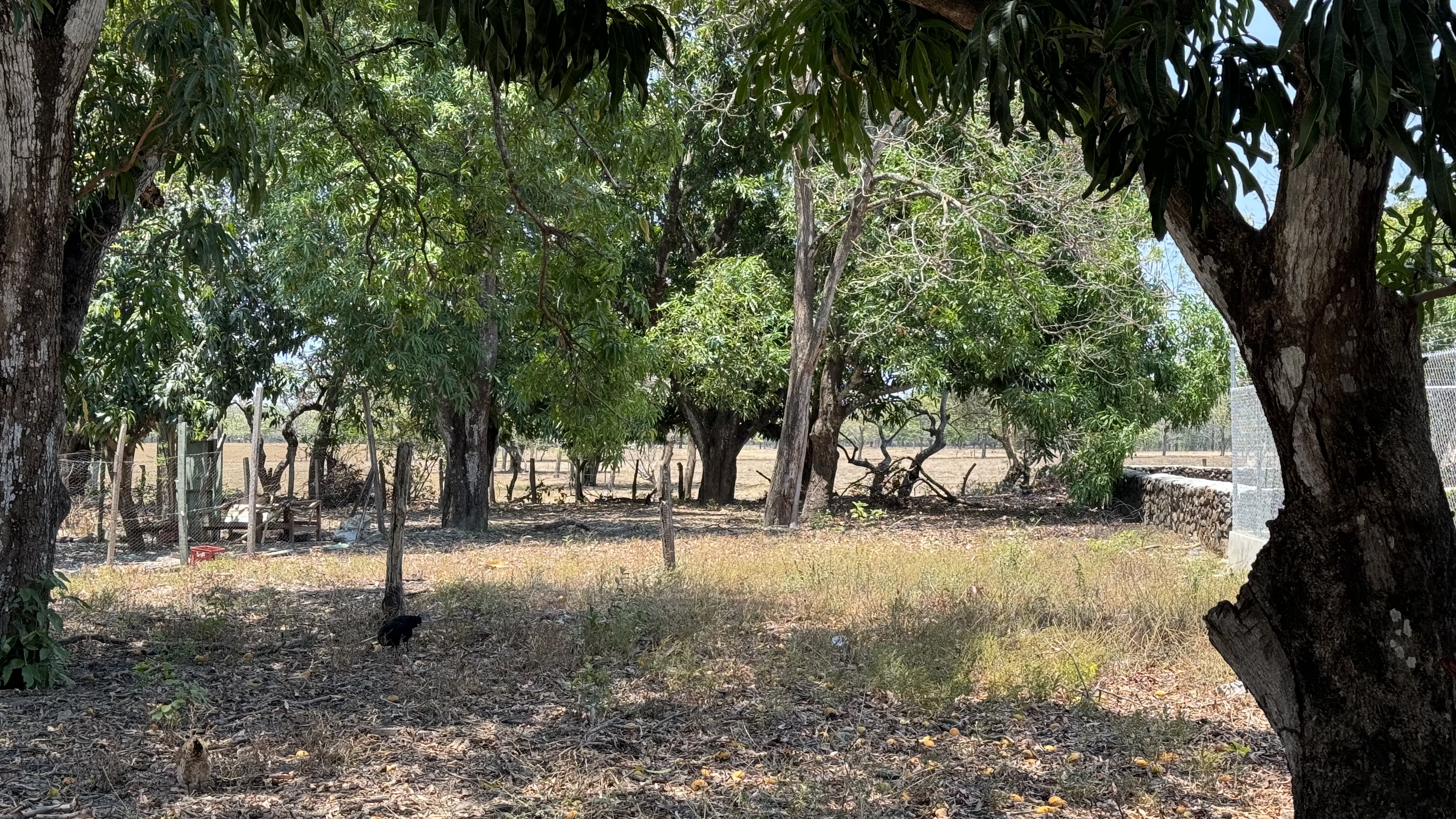 0 bed Land For Sale in Liberia, Guanacaste - thumb 3