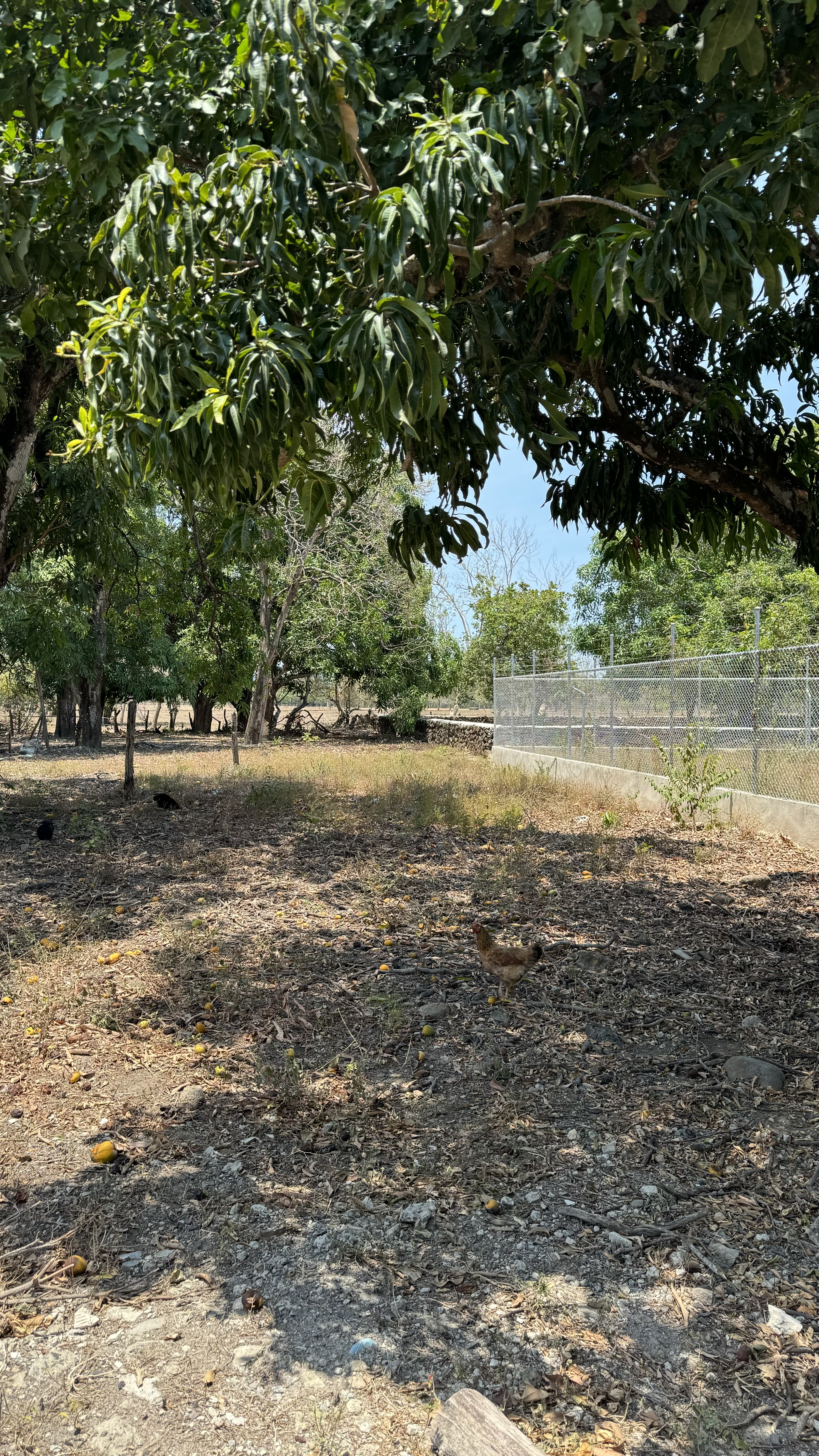 0 bed Land For Sale in Liberia, Guanacaste - thumb 1